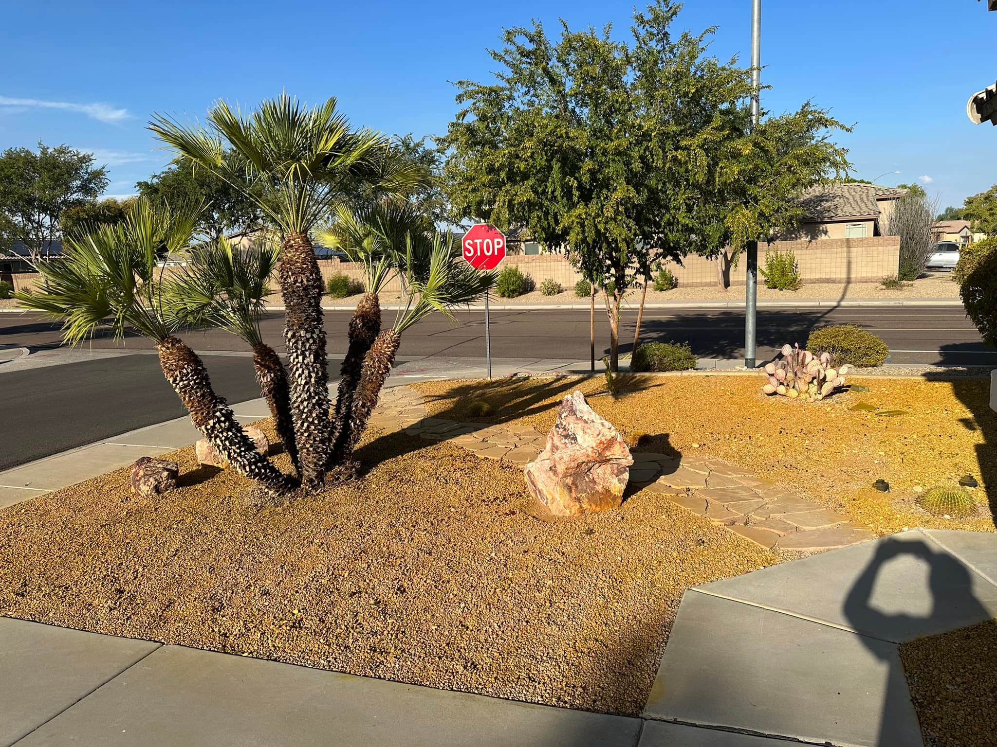 landscaping company Ramirez Landscaping in El Mirage, AZ