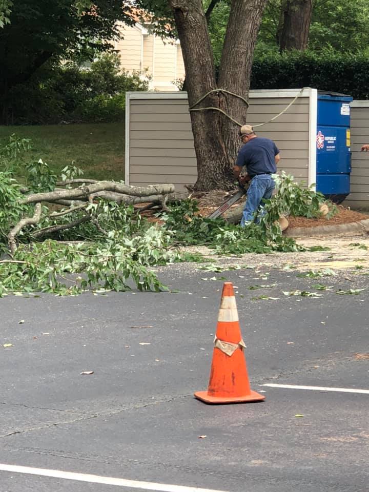 for North Meck Tree & Grounds Specialist in Huntersville, NC