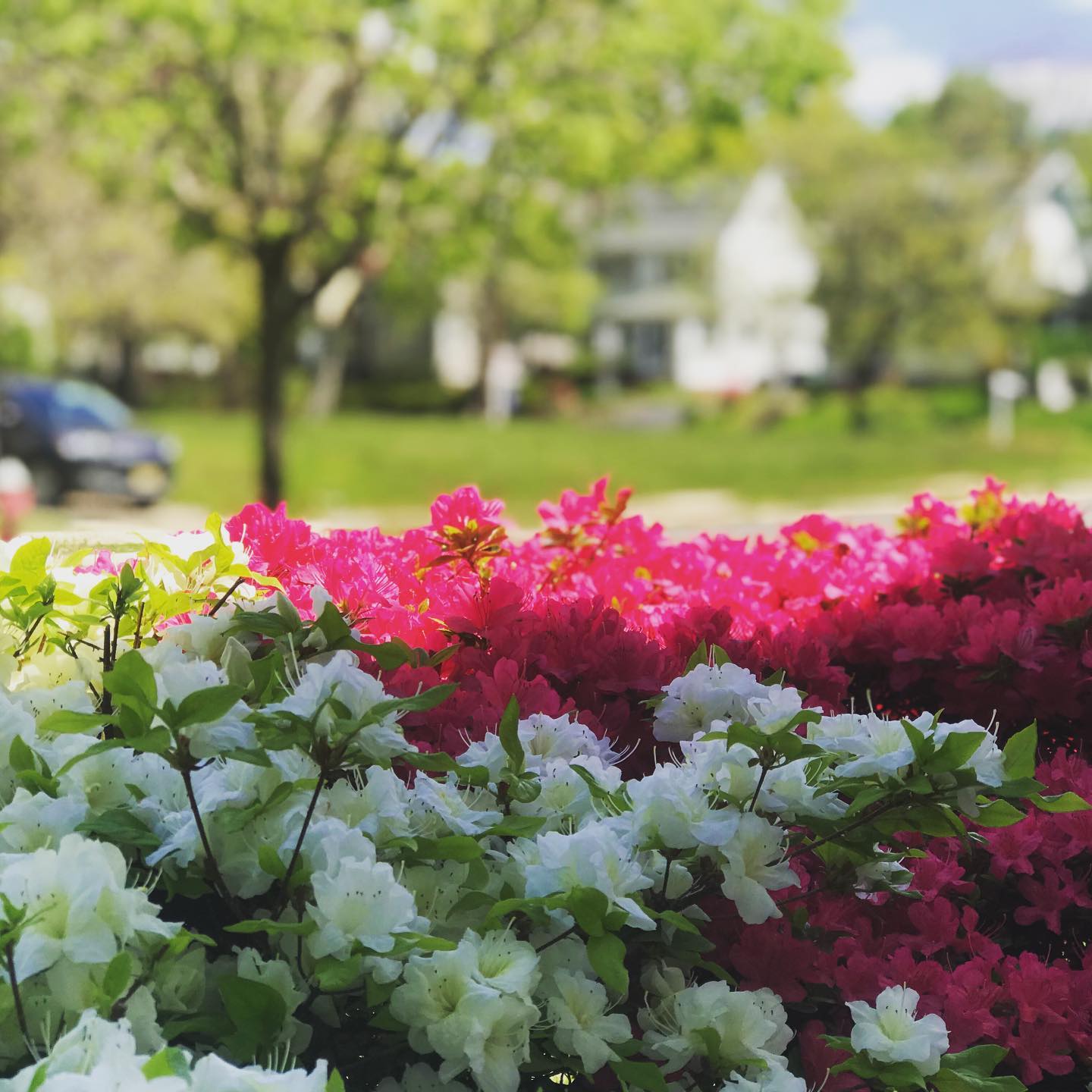  for LGZ Landscaping LLC in Belleville, NJ