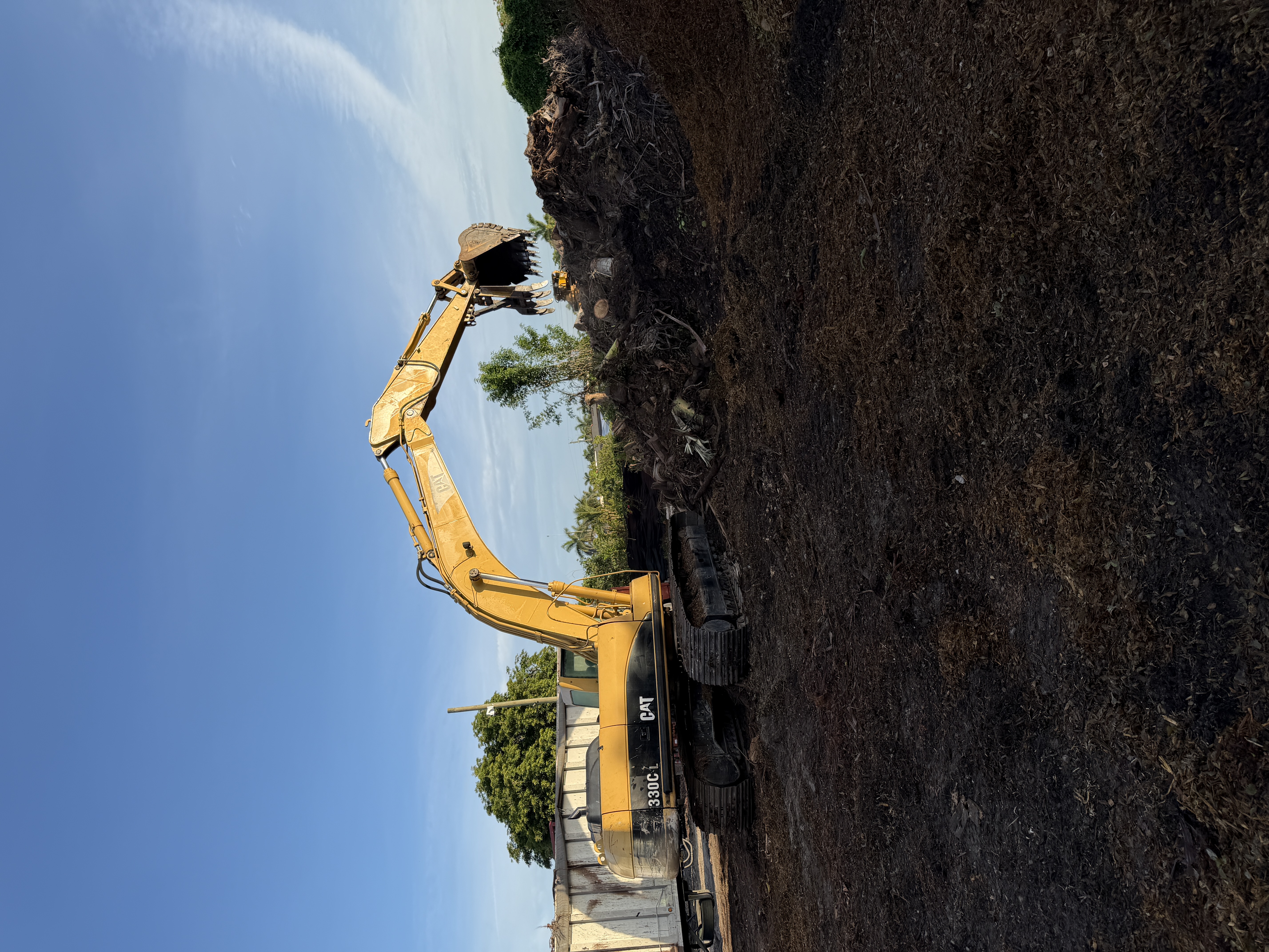  for Nurry Tree Services in Miami, FL