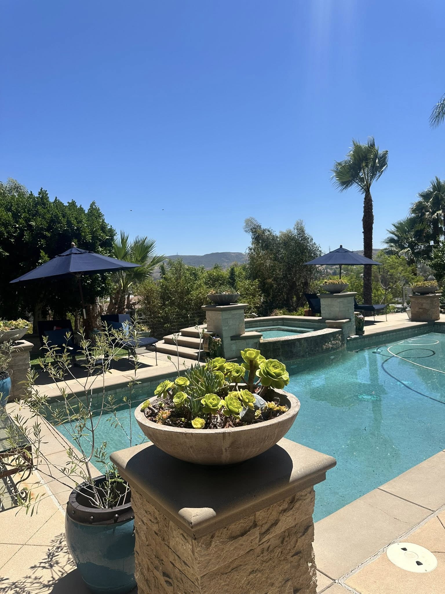  for Benito's Gardening in San Juan Capistrano, CA