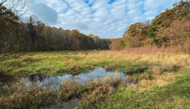  for Bluff Country Whitetails in Grand Ledge, MI