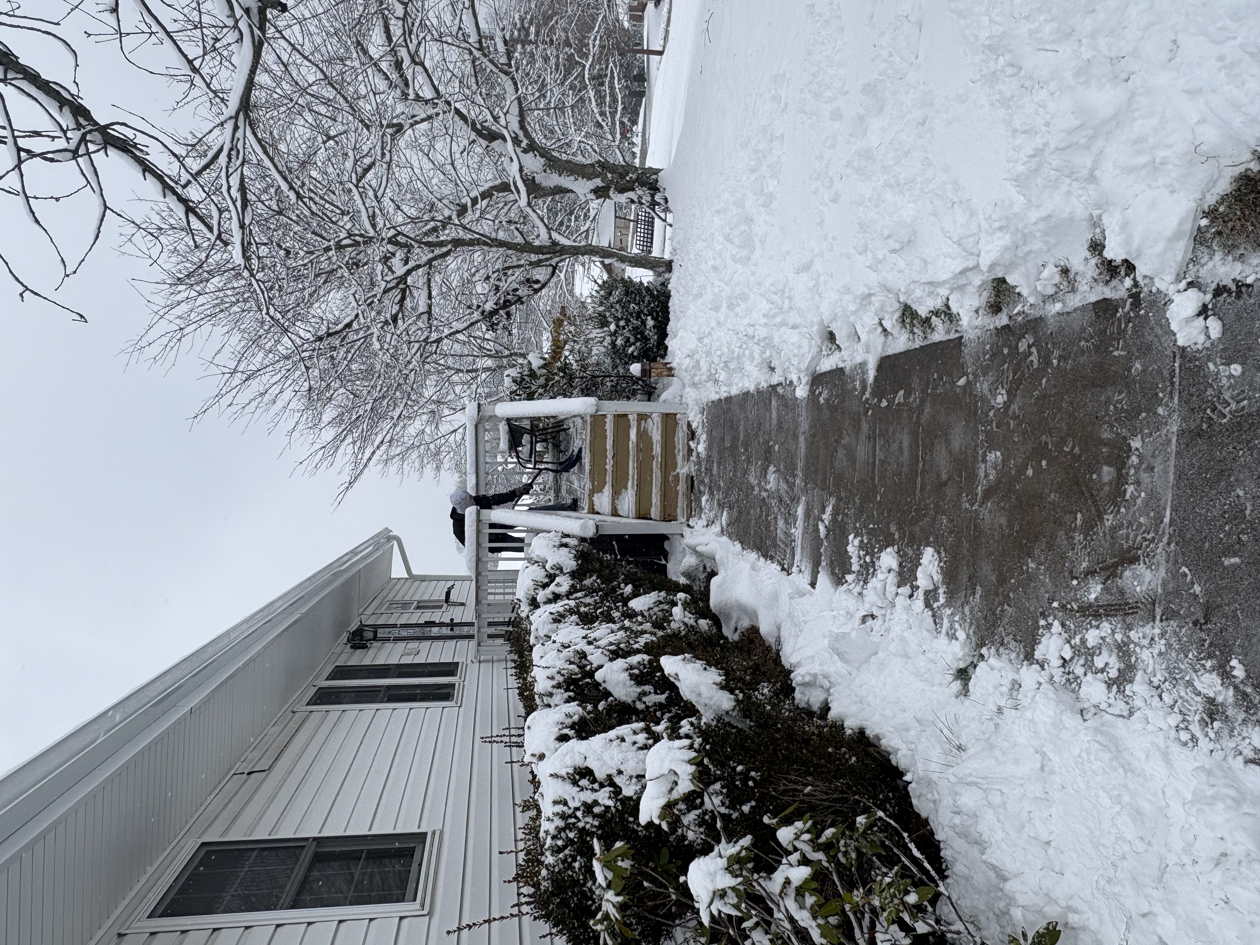  for Cam Yardz in Washington, PA