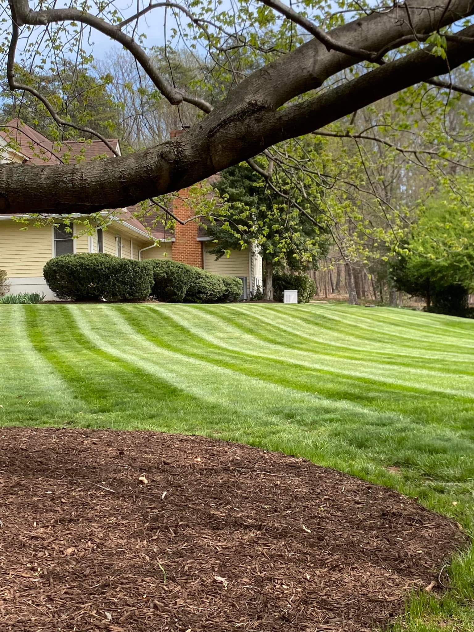  for Valencia’s Lawncare in Charlottesville, VA
