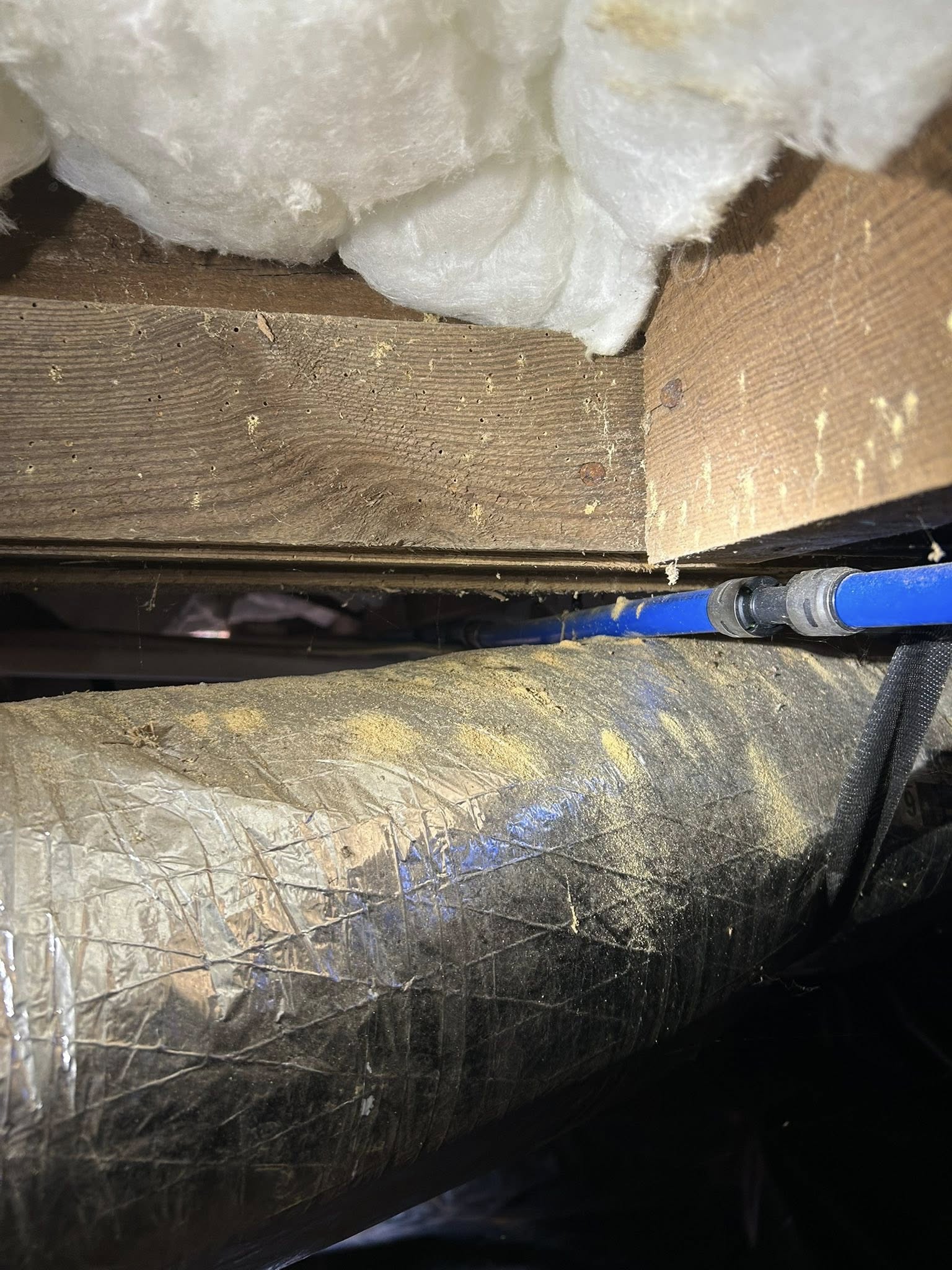  for Winecoff Pest Control in Salisbury, NC