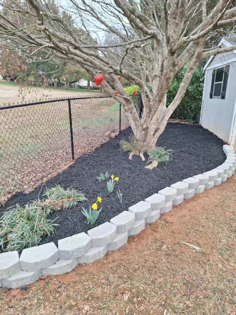 Landscaping company Olmedo Home Services in Davie County, NC