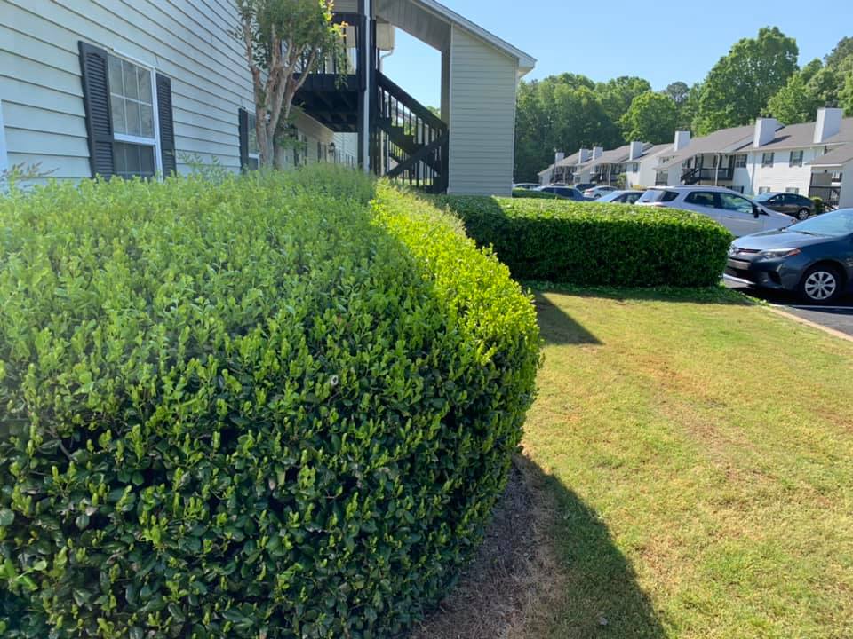 Landscaping company Bega Landscape Services in Atlanta, Georgia