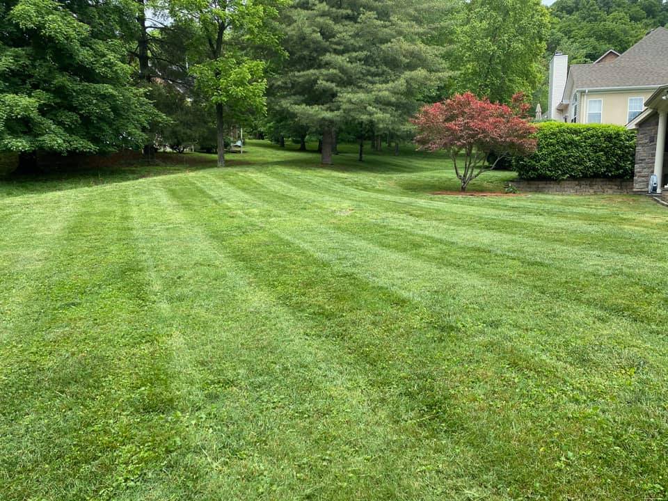  for Pro Lawn and Landscape in White Bluff, TN