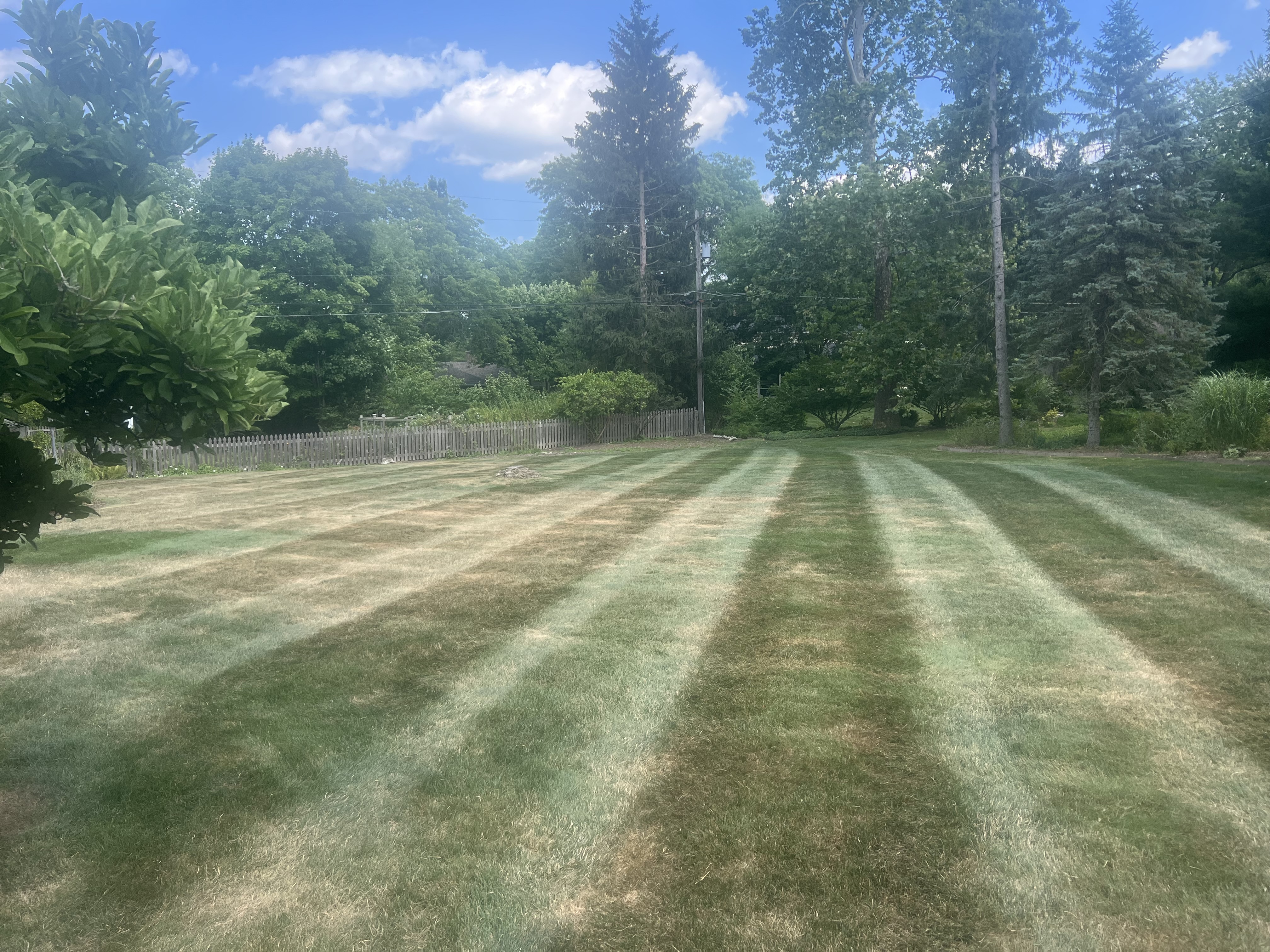  for Hammond Landscape in Okemos, MI