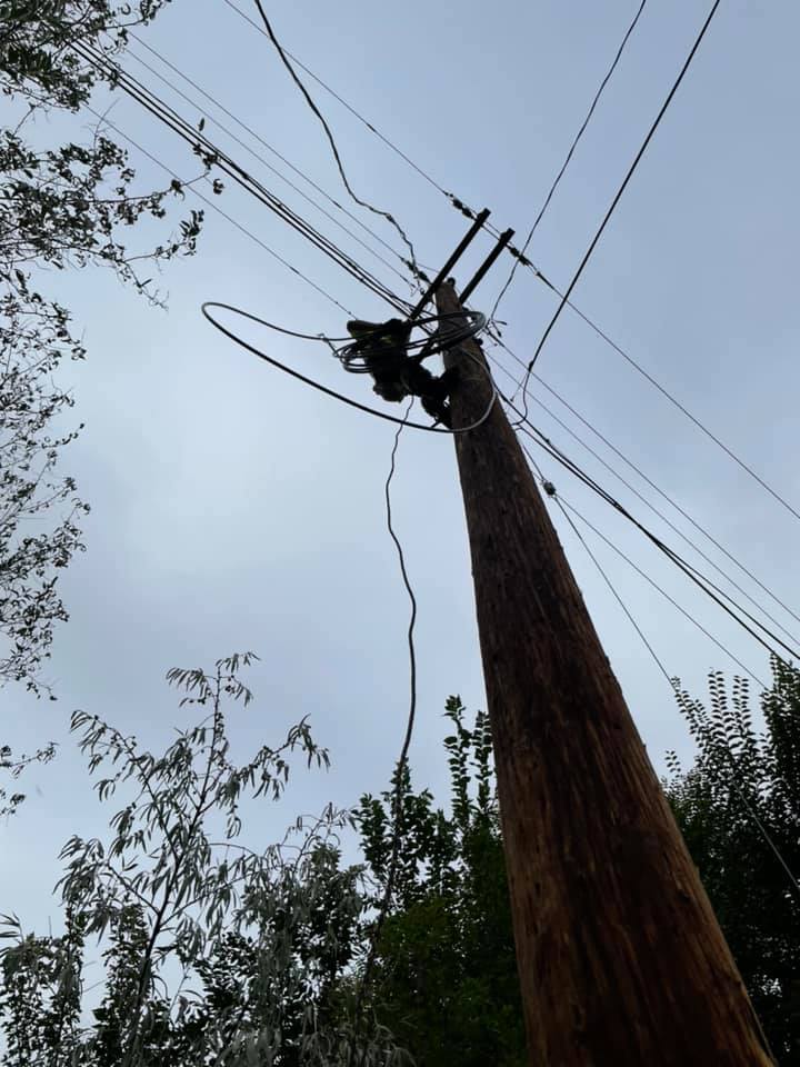 Tree Service company Hammons Construction LLC in Eugene, OR