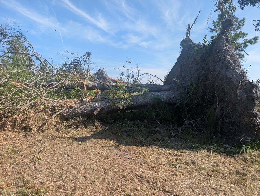  for TDWS Land Management in Blackshear, GA