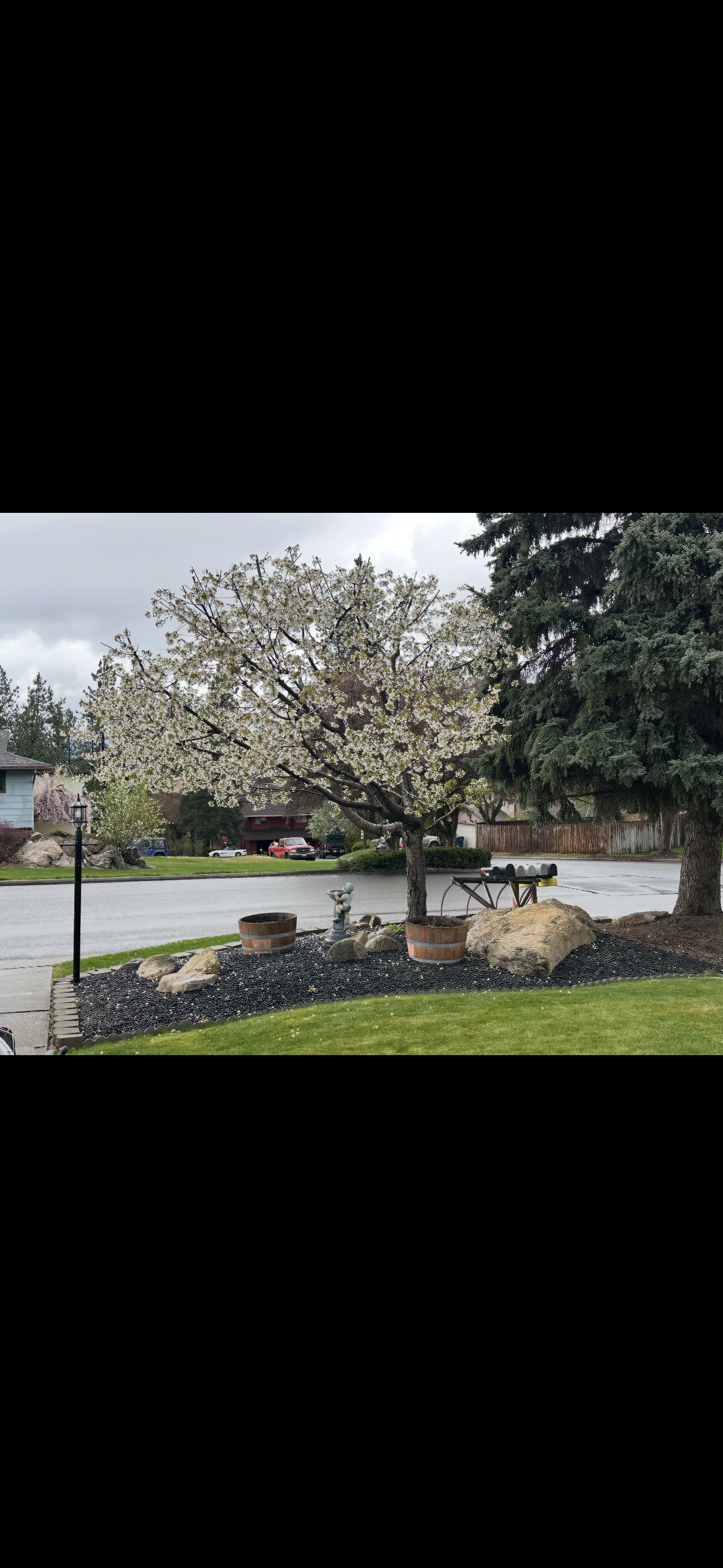  for AP Tree Service in Colbert, WA
