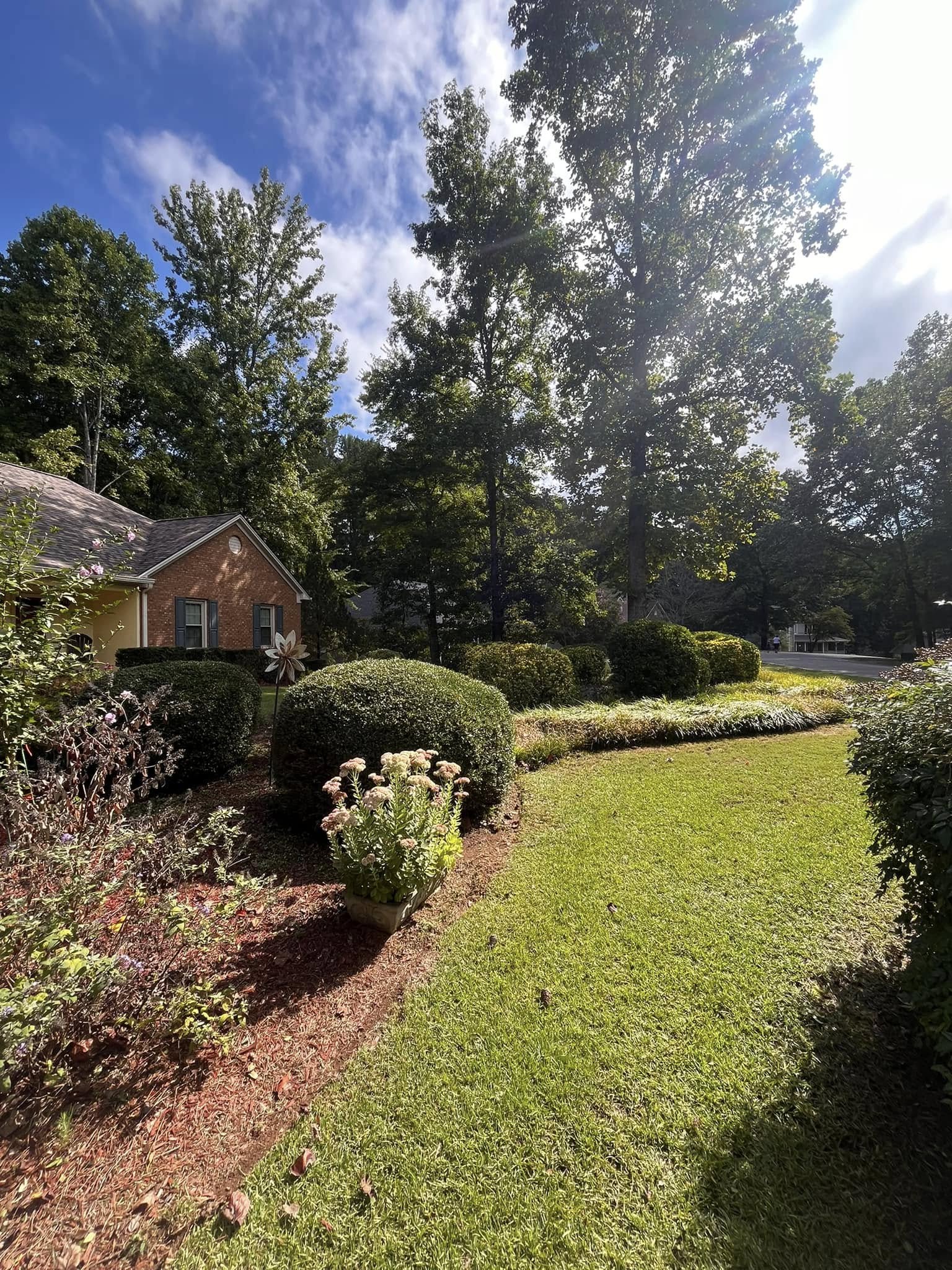 VL Landscaping, LLC team in Cartersville, GA - people or person