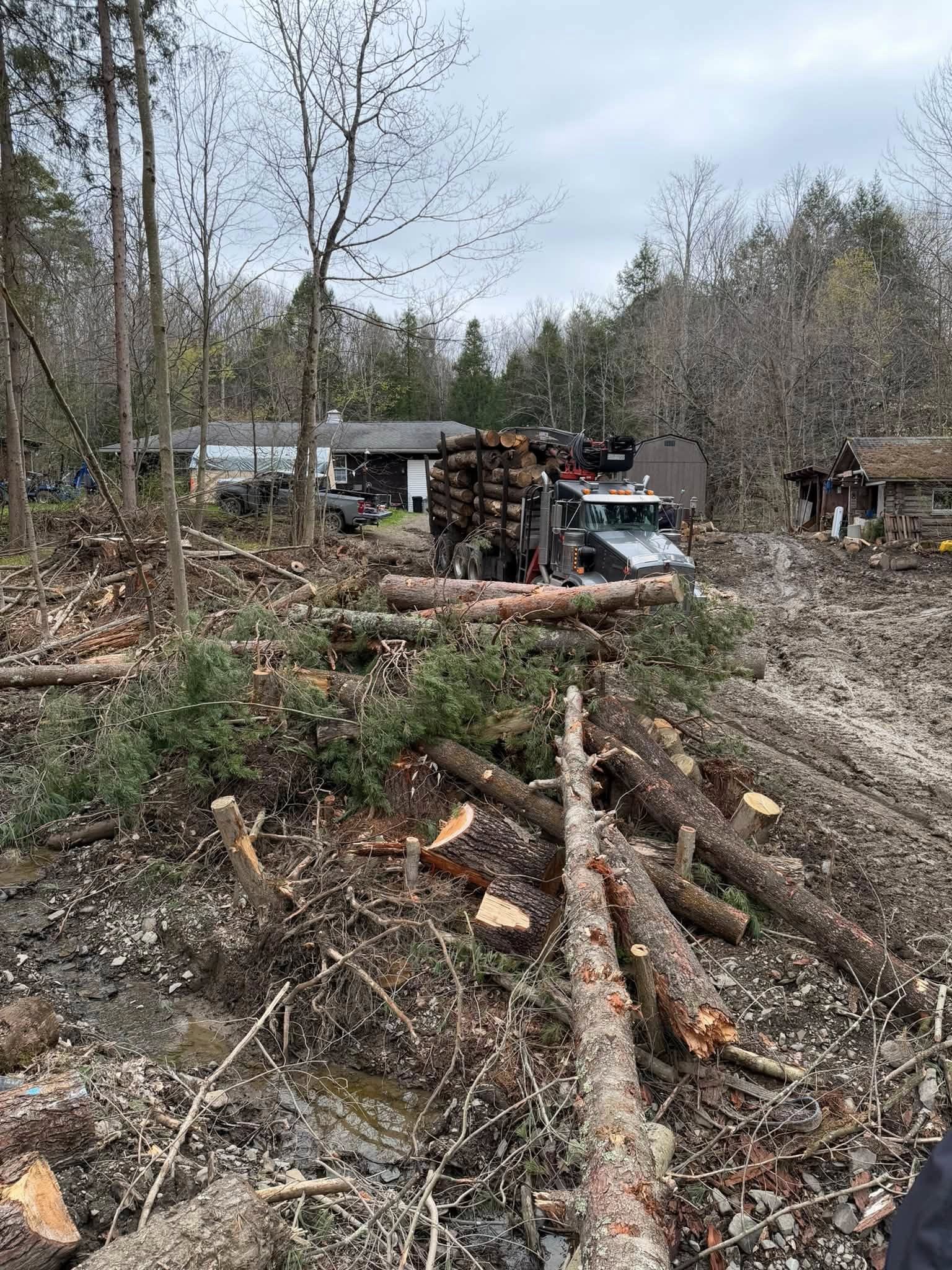 for Brax Forestry in Endicott, NY