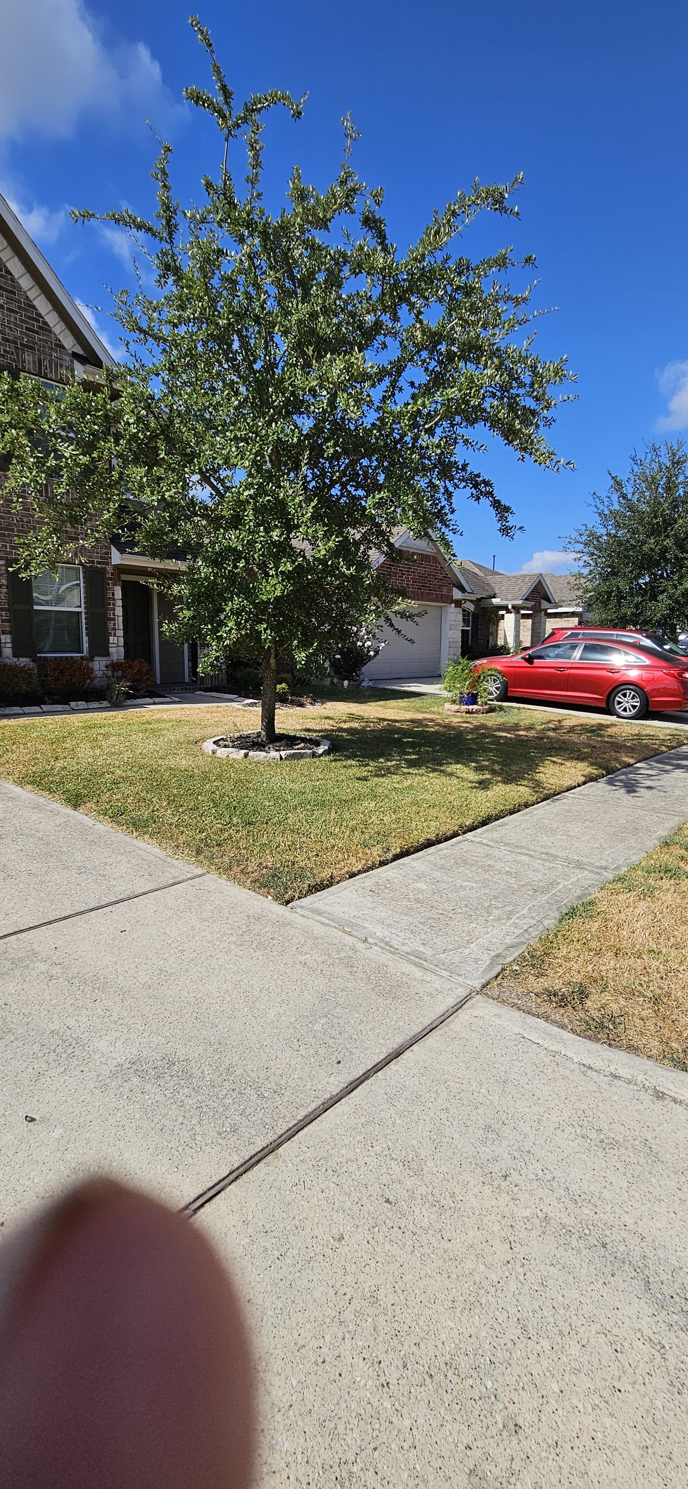 Gulf-Tex Lawn Care team in Baytown, TX - people or person