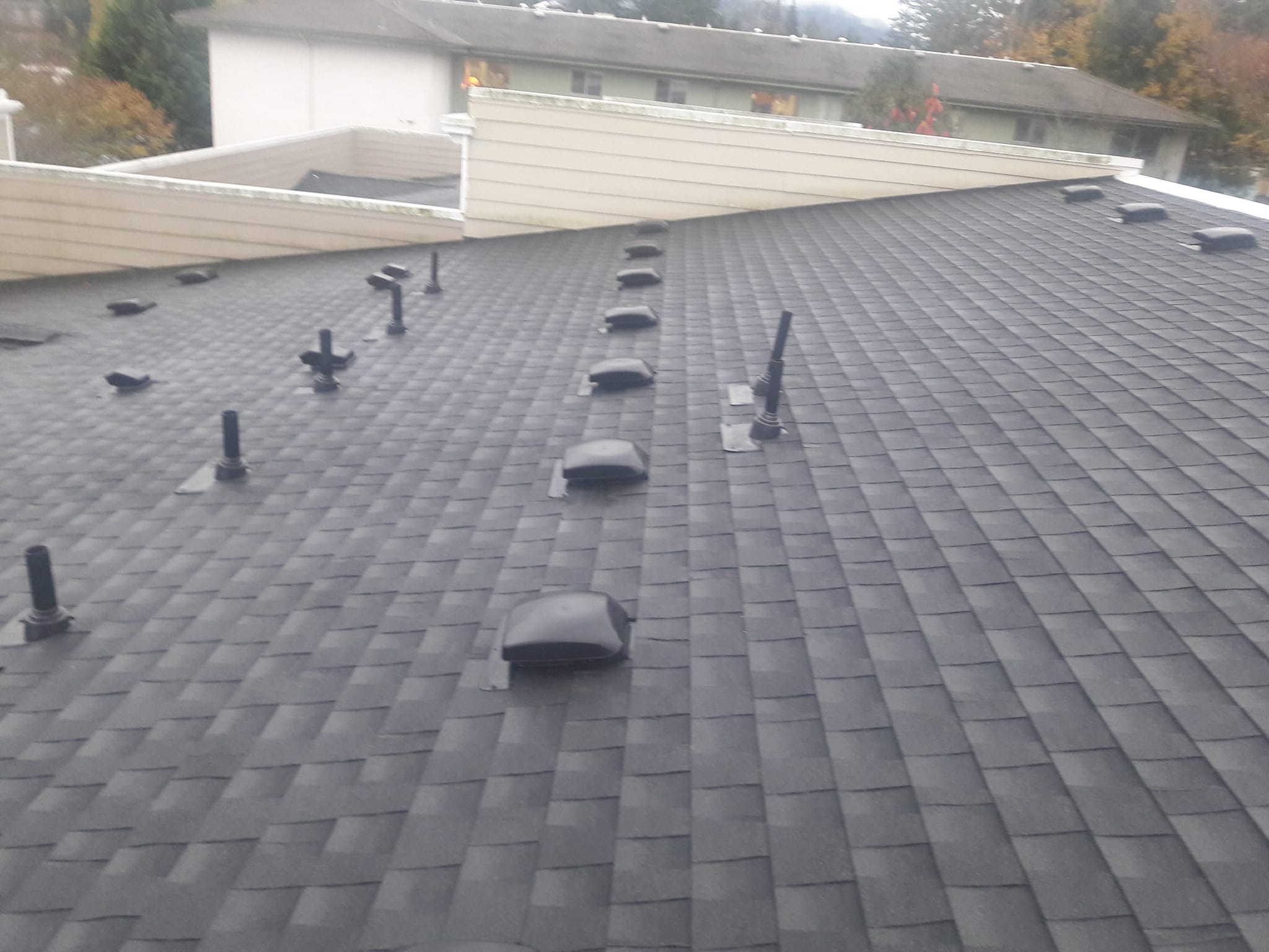  for ATJ Roofing LLC in Bellingham, WA
