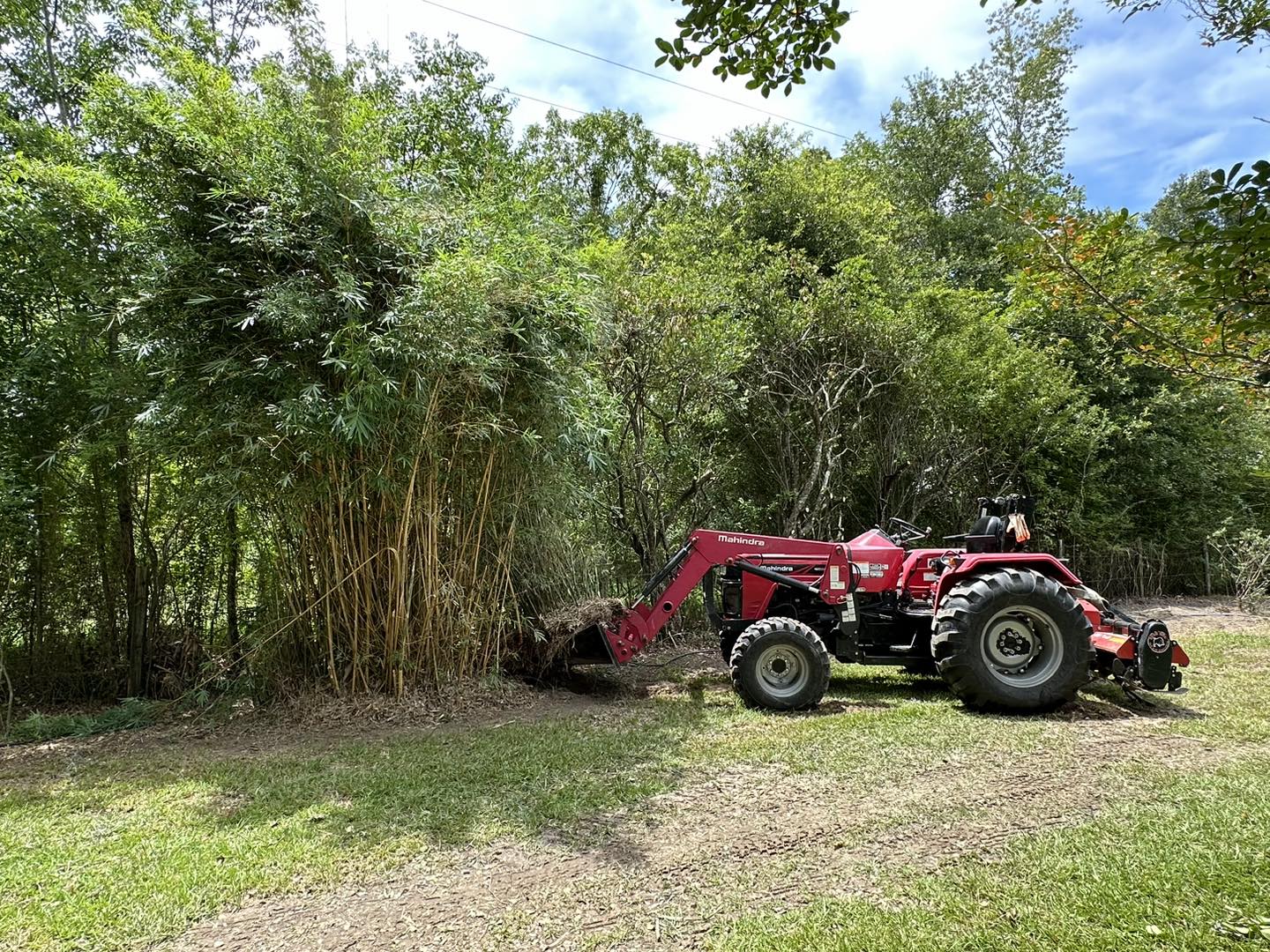 River Rooted Construction team in Loranger, LA - people or person