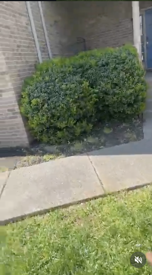  for DH Lawn Care in Nashville, TN