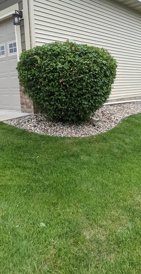  for Urban Green Lawncare & Snow Removal in Lakeville, MN