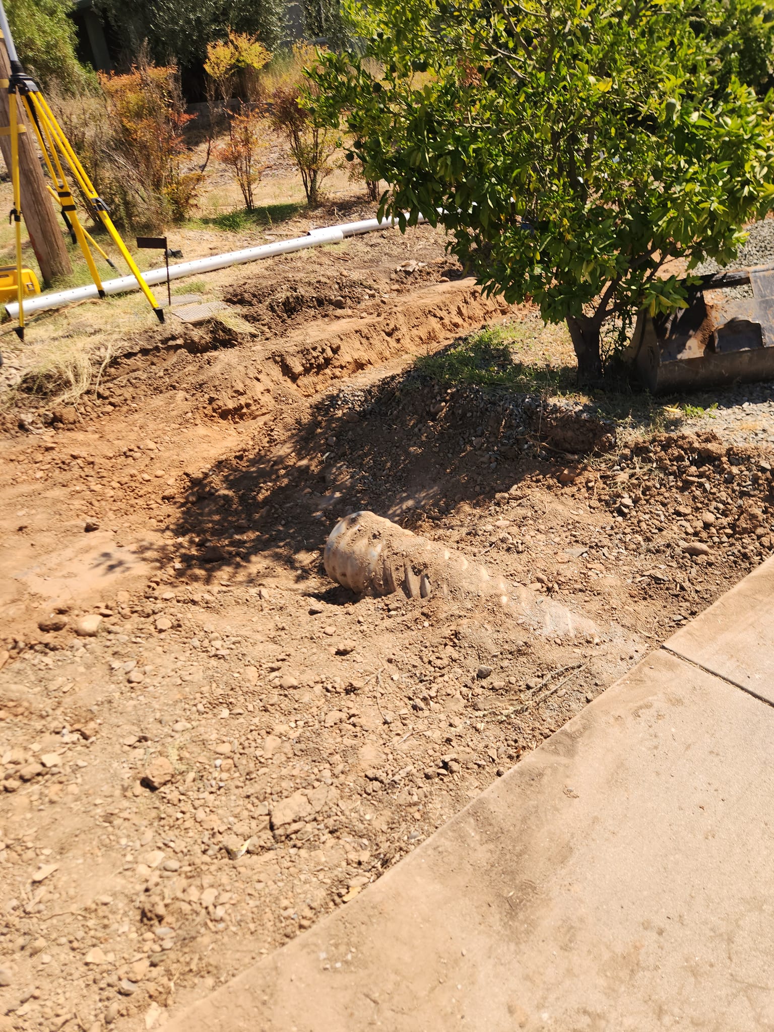  for Amador Engineering Inc. in Acampo, CA