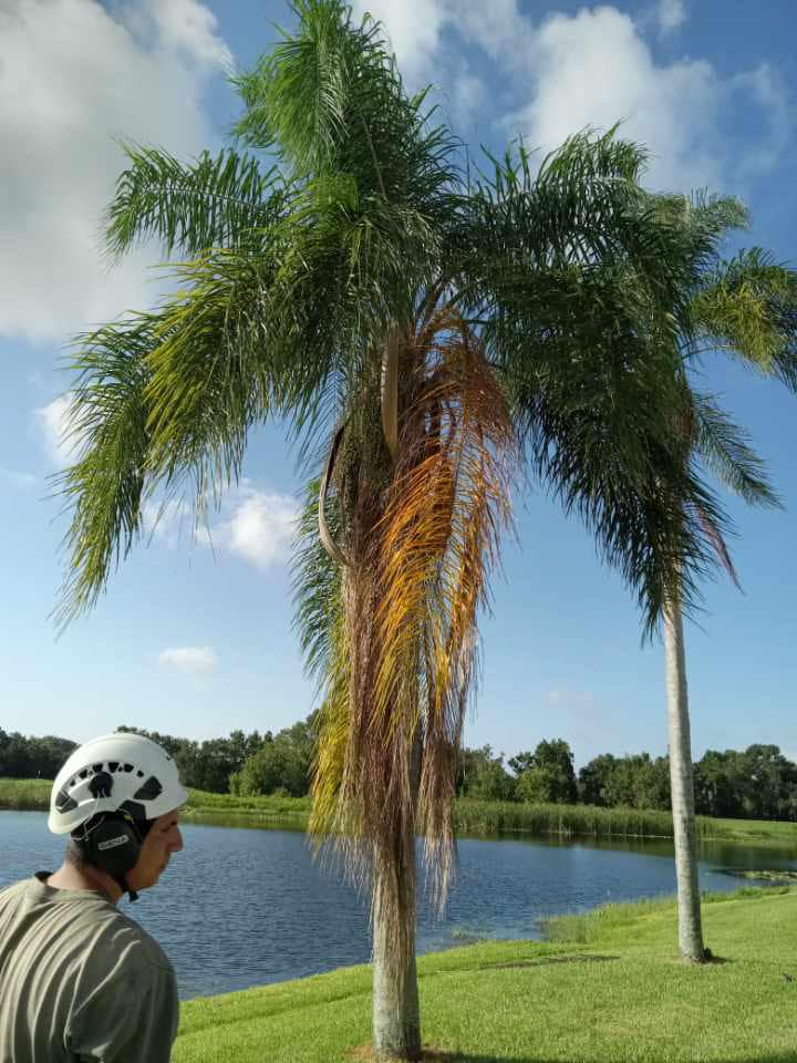  for The Family Tree Care Services LLC in Florida City, FL