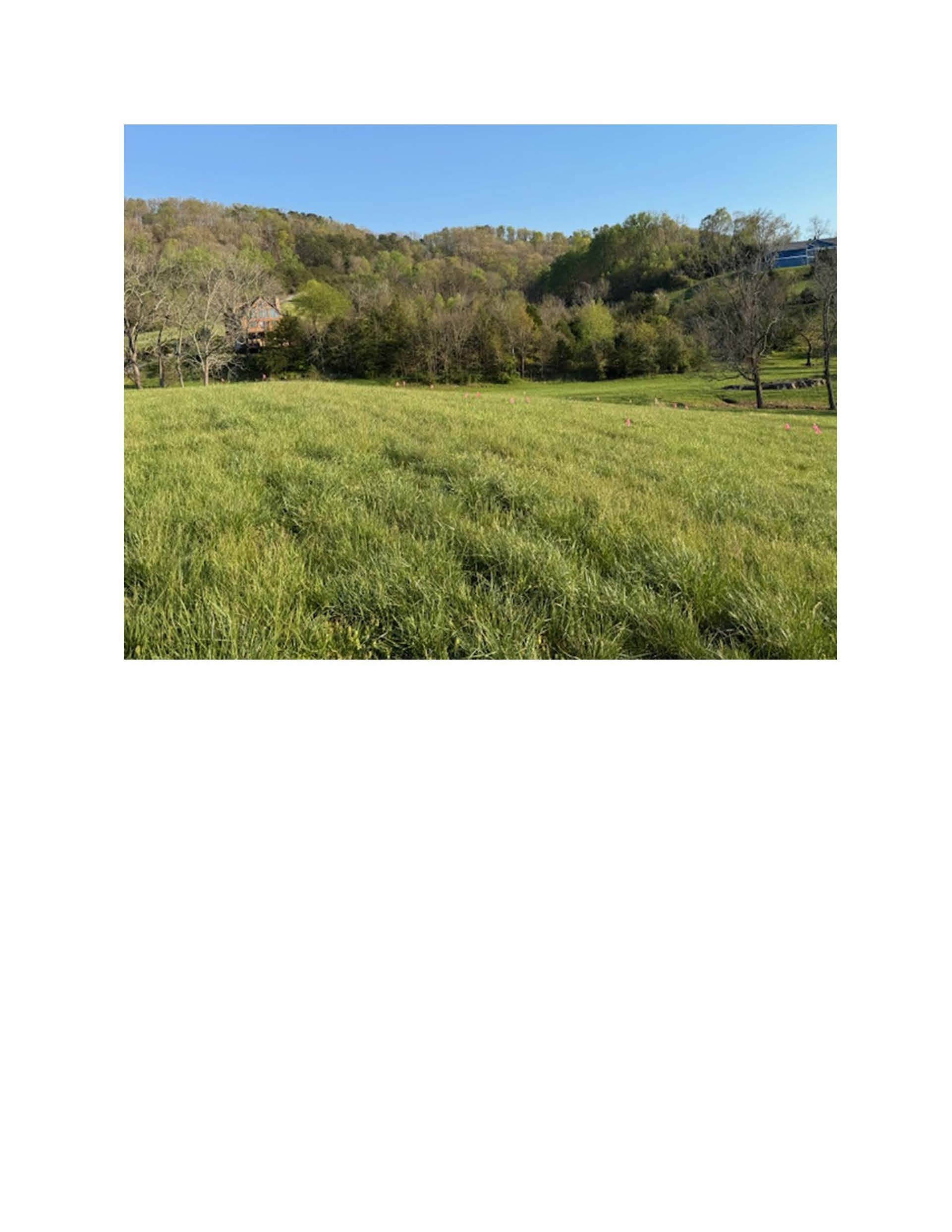  for ProModern Construction, LLC in Seymour, TN