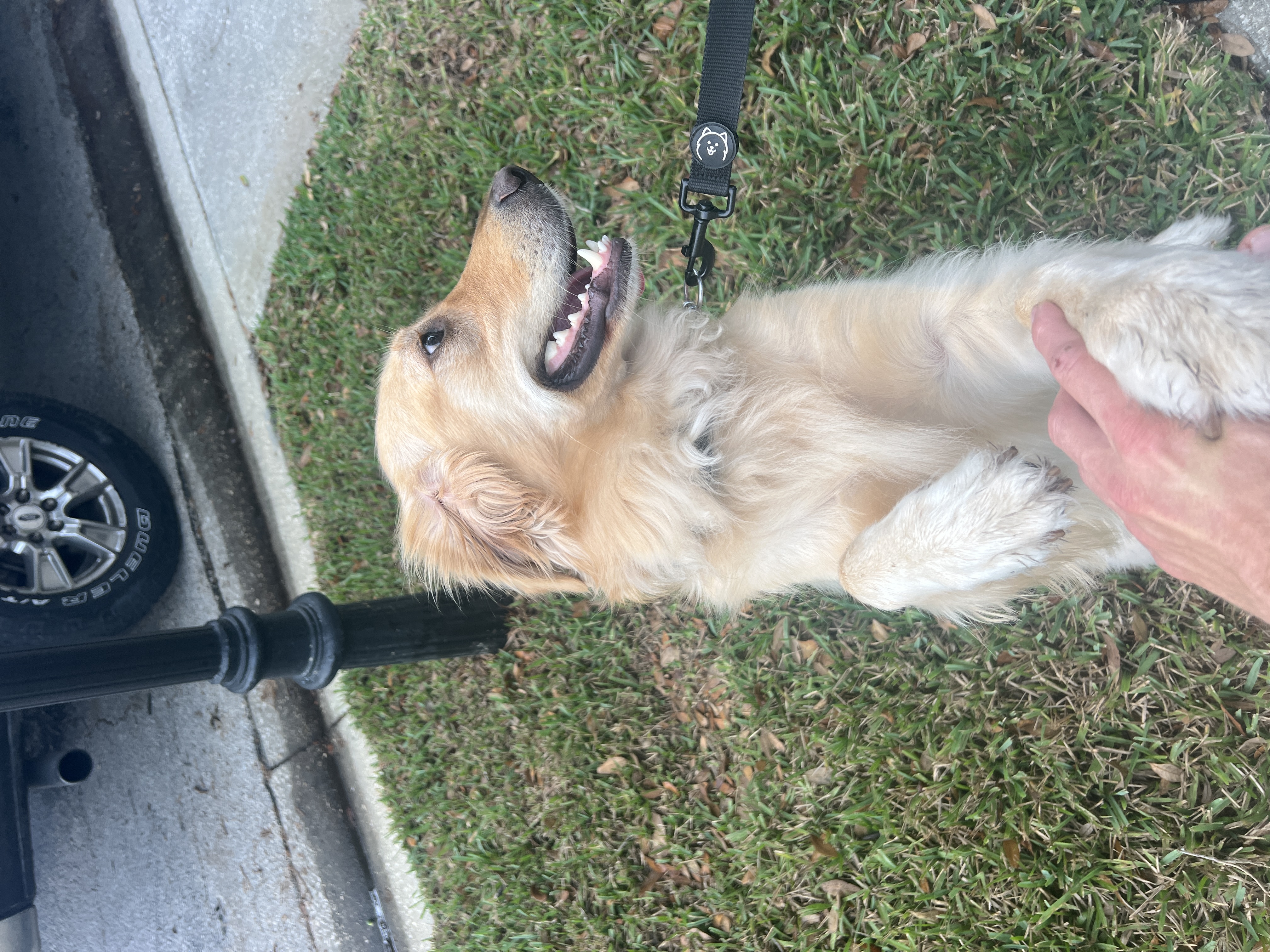  for C4 Ground Control in Oviedo, FL