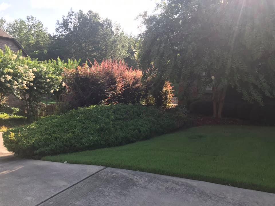  for Integrity Tree and Landscaping in Lynchburg, VA