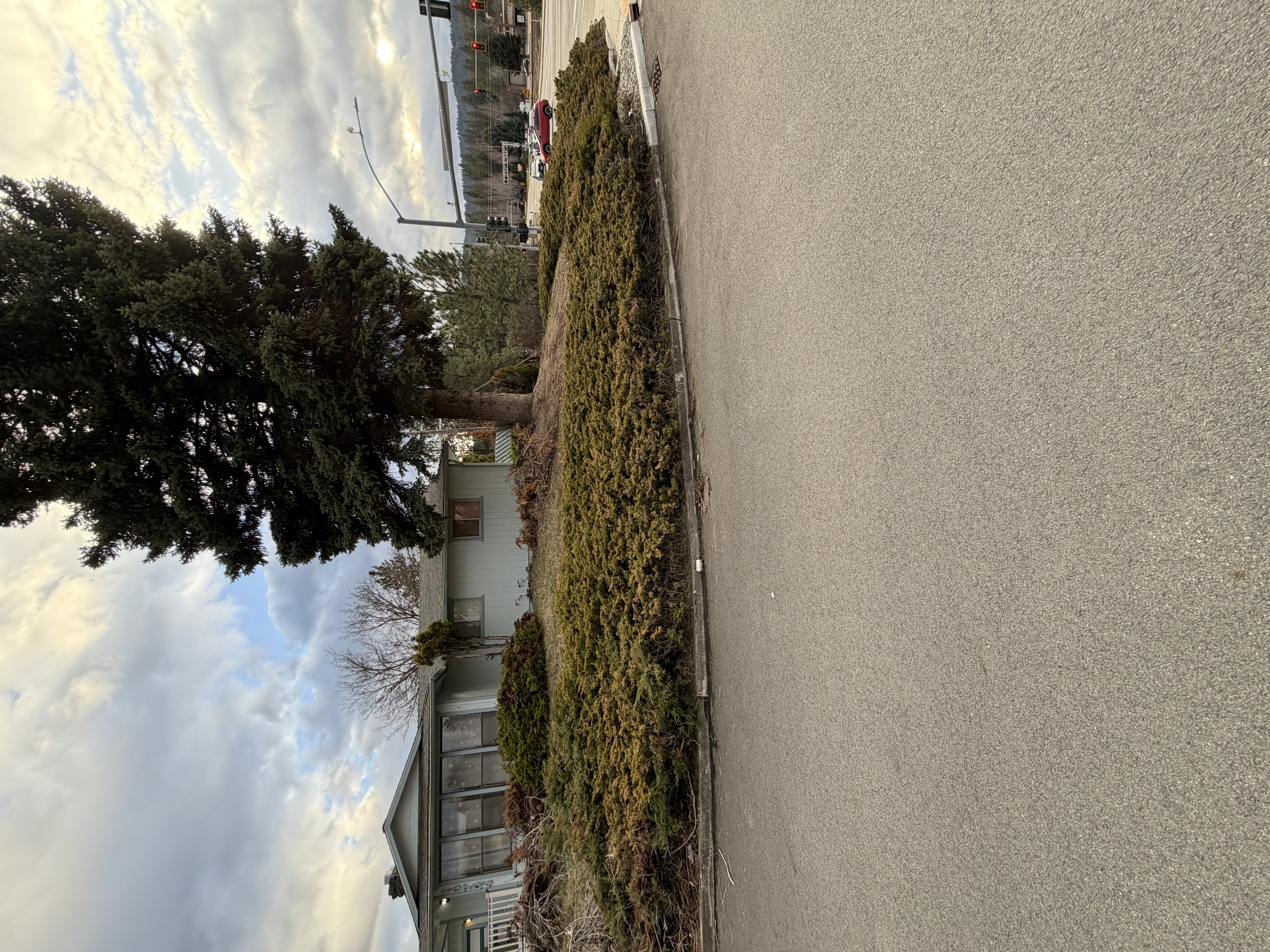  for AP Tree Service in Colbert, WA