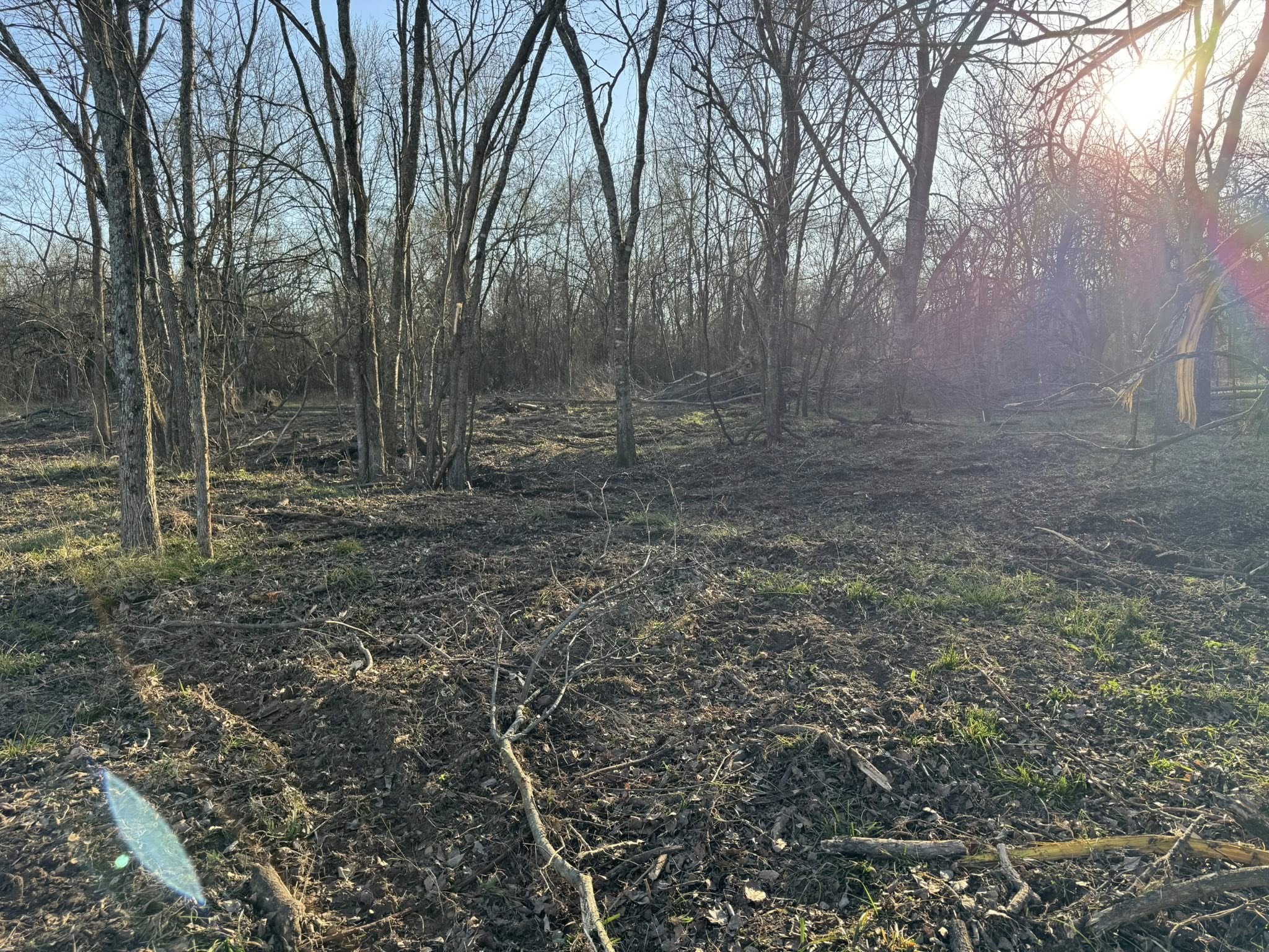  for Superior Land Services in Wills Point, TX