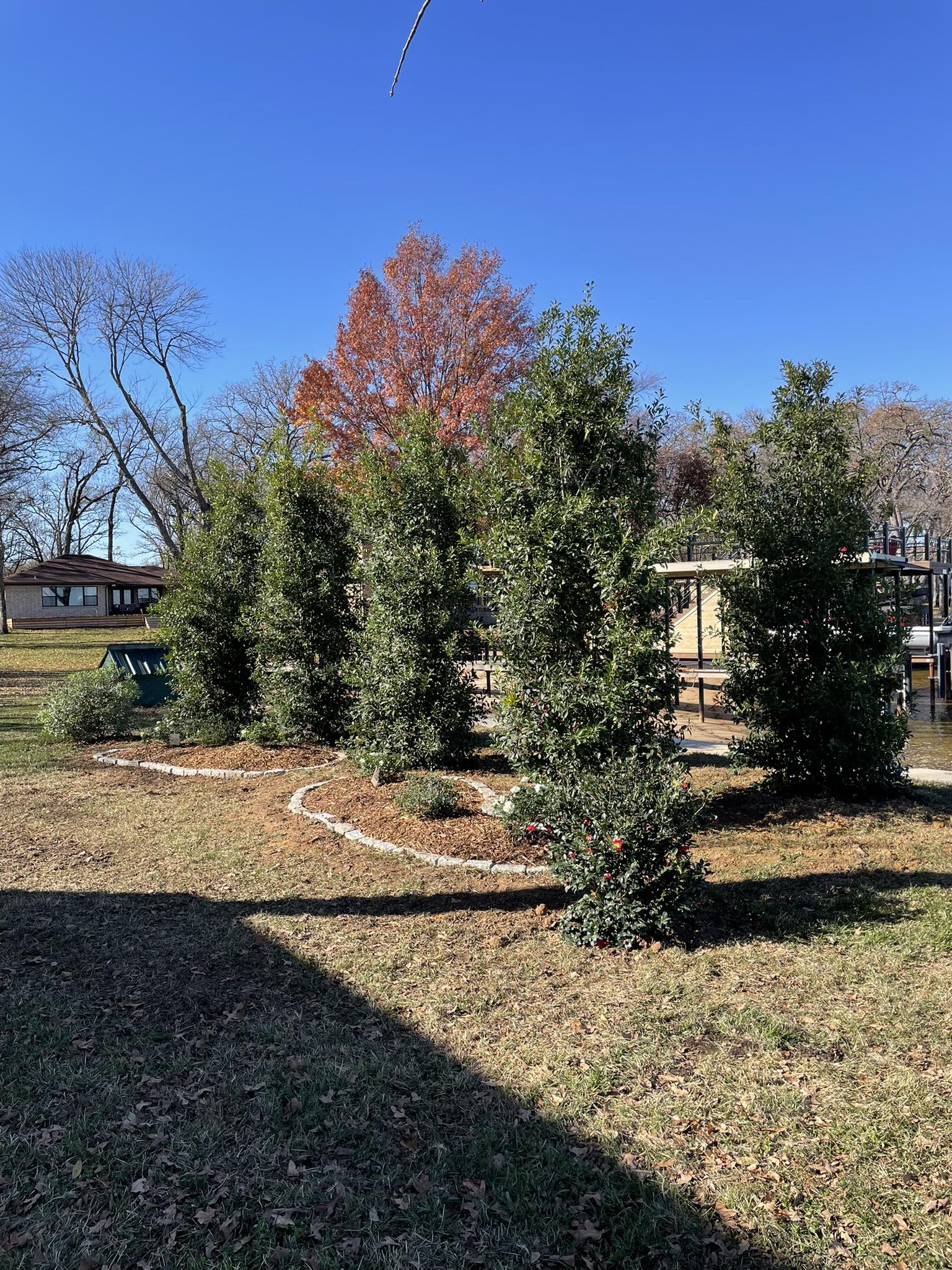  for Arbor Max Solutions in Gun Barrel City, TX