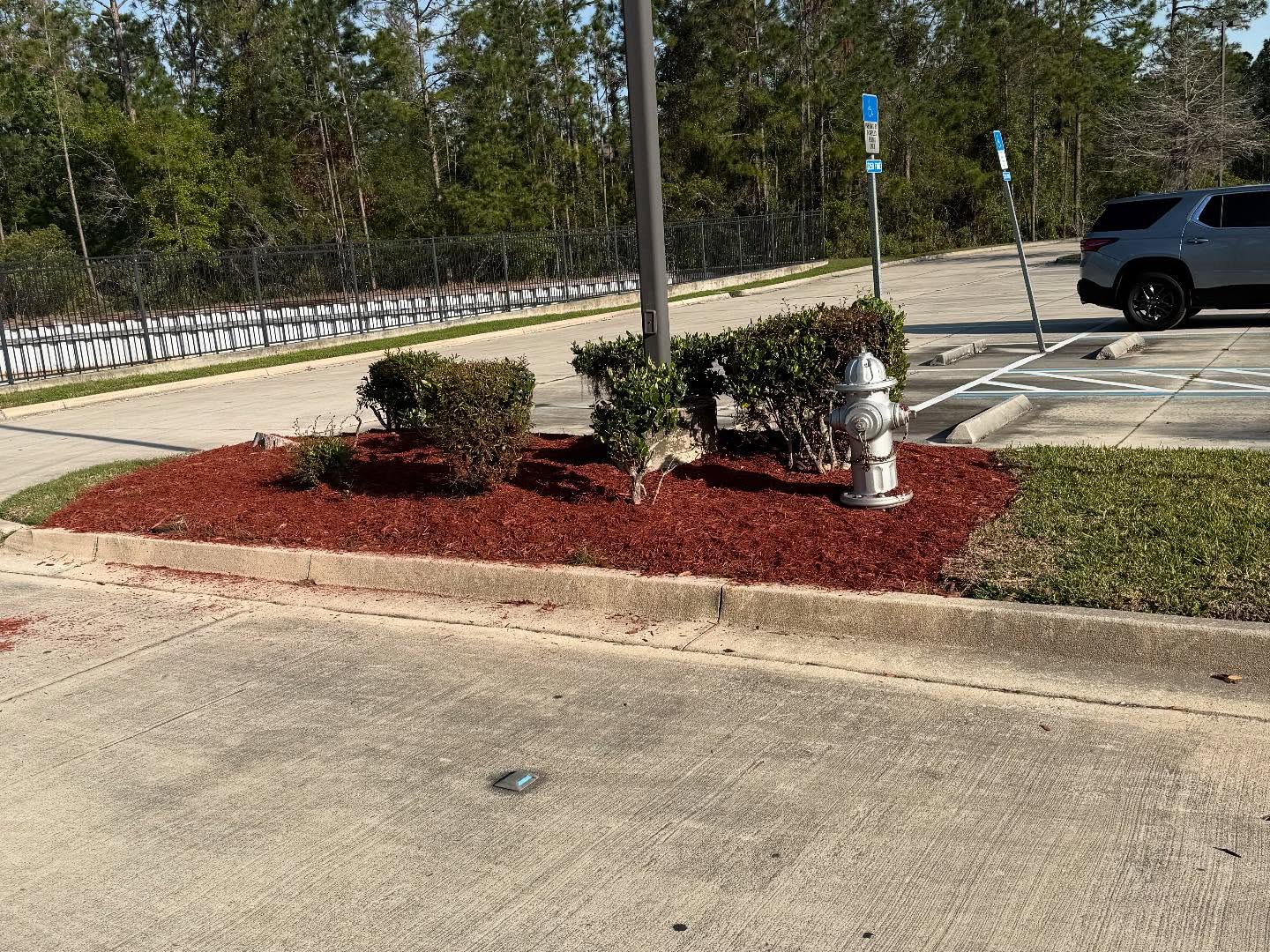  for Whole 9 Yards Services in Green Cove Springs, FL