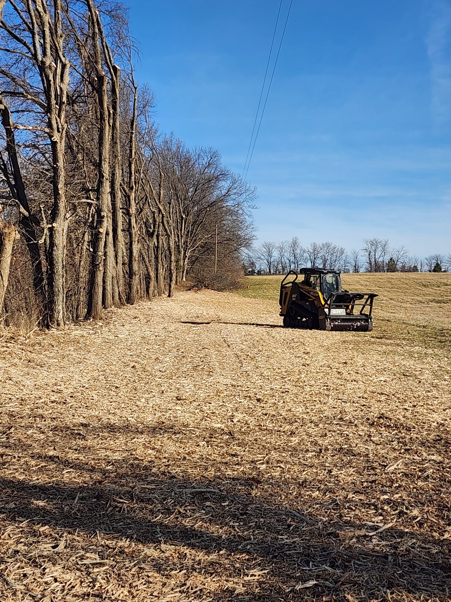  for Mitchell Tree Company in Lathrop, MO