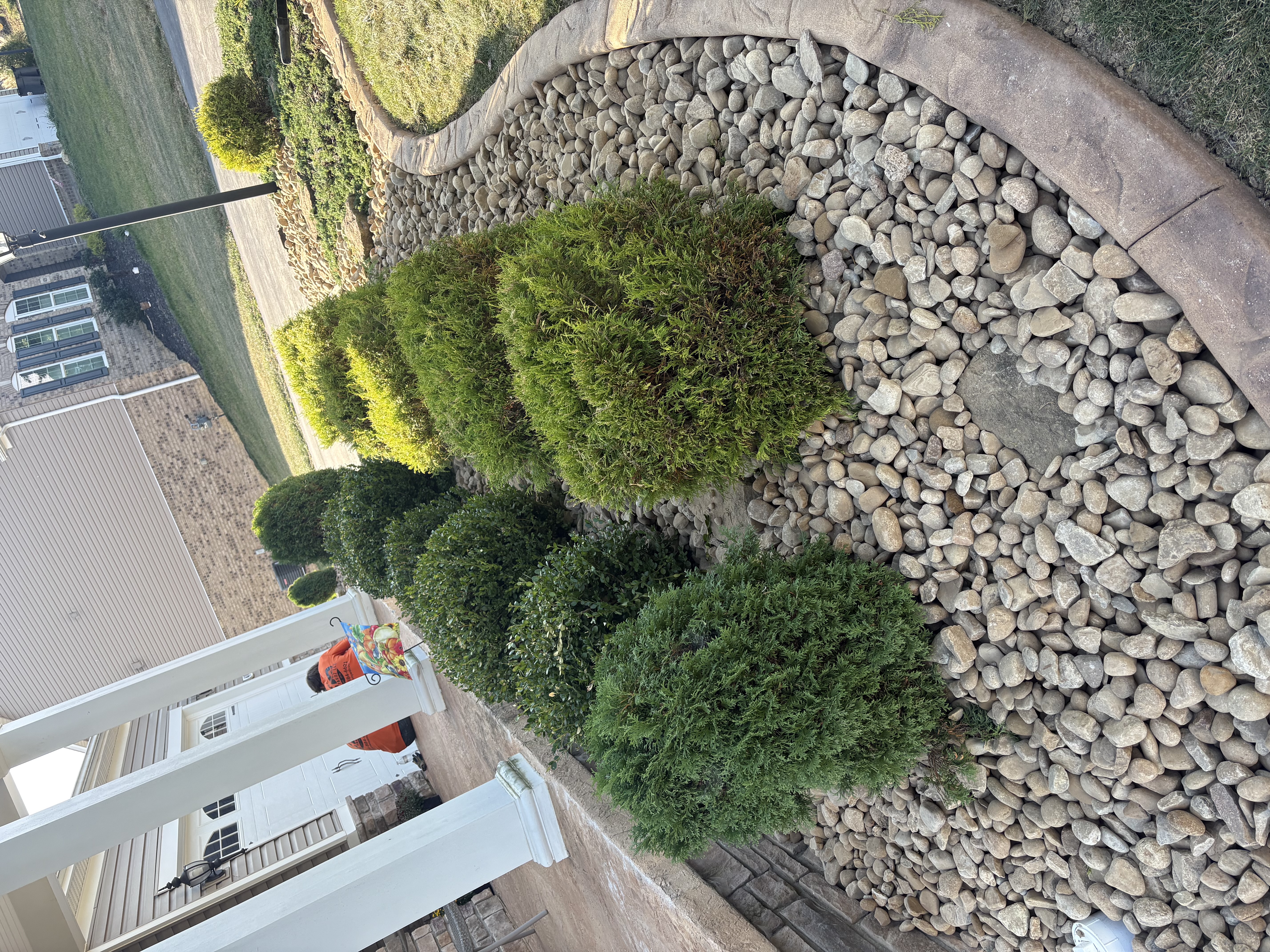  for Cam Yardz in Washington, PA