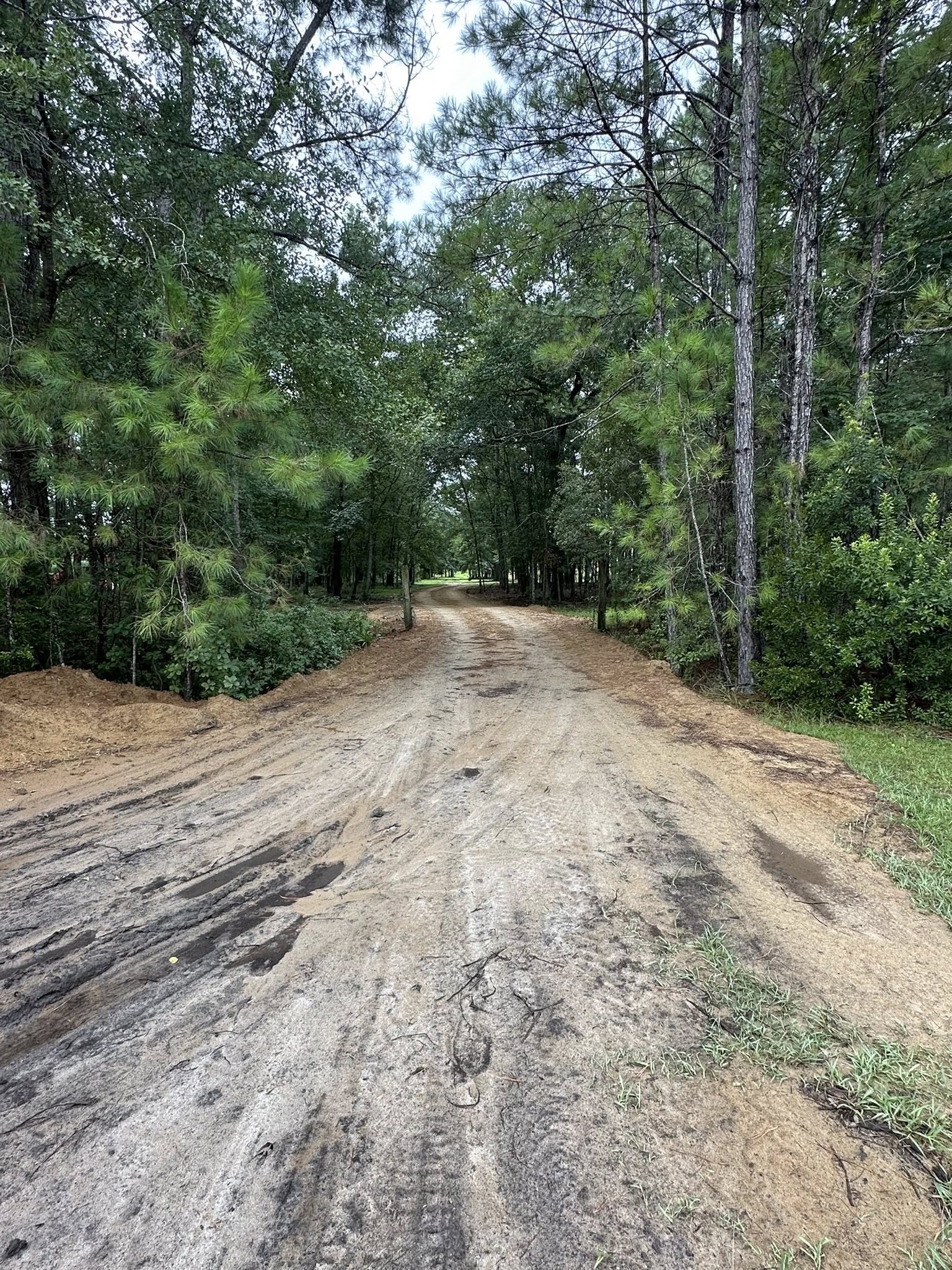 Landscaping company T&S Land Management Services in Springfield, GA