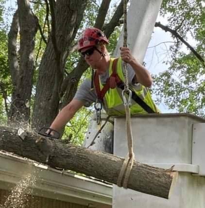 Village Tree Service  team in Whitestown, IN - people or person