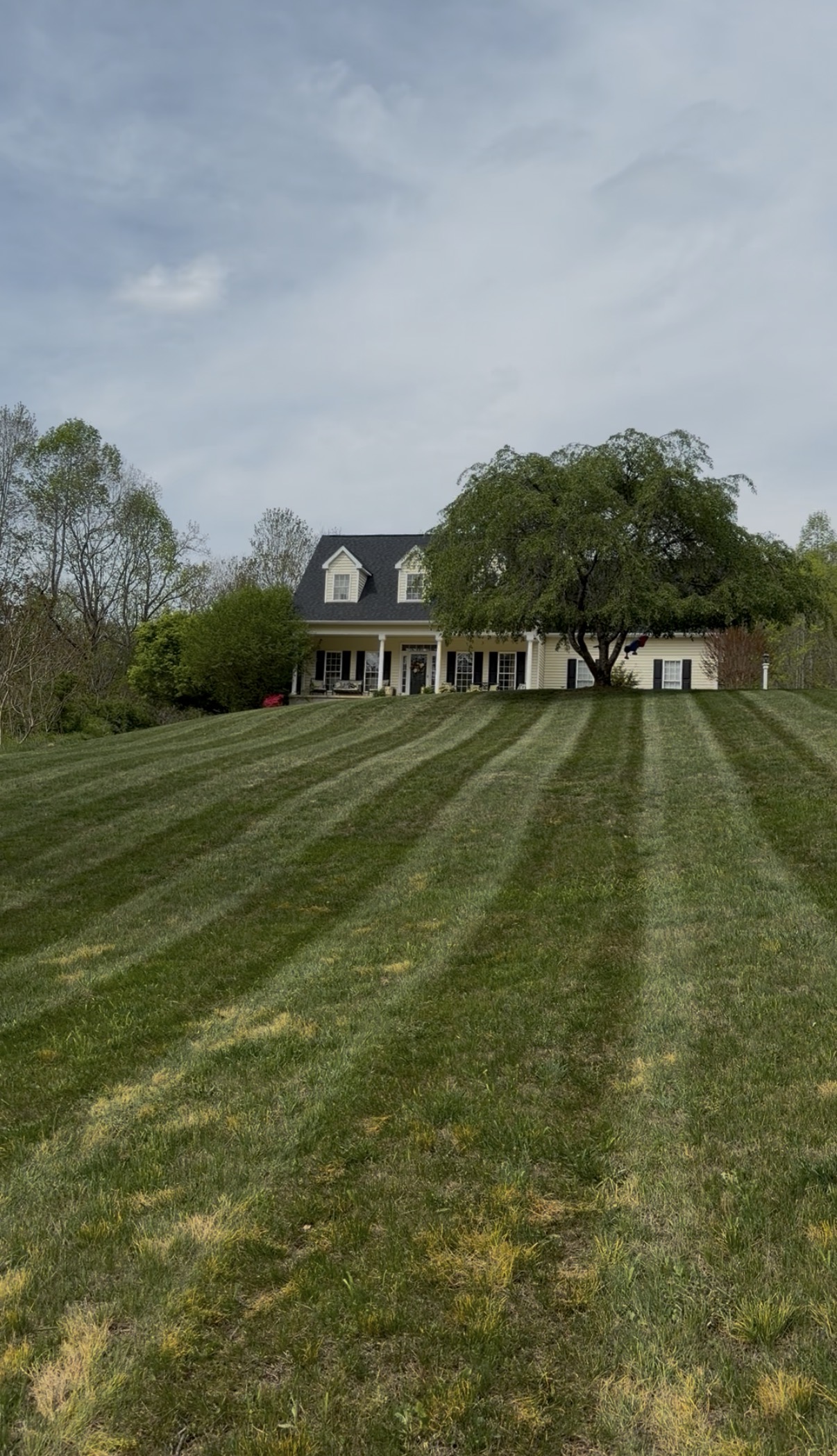  for John Lawns in Candler, NC