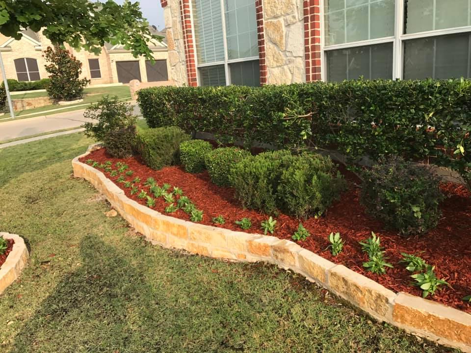  for Tree Valley Landscaping in Dallas, TX