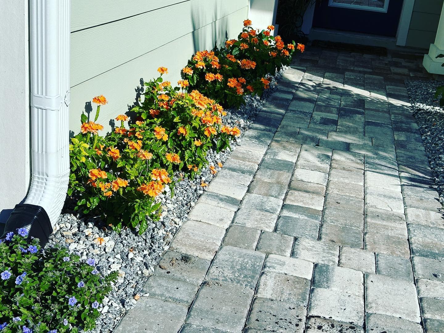  for Lawns By St. John in North East, Florida