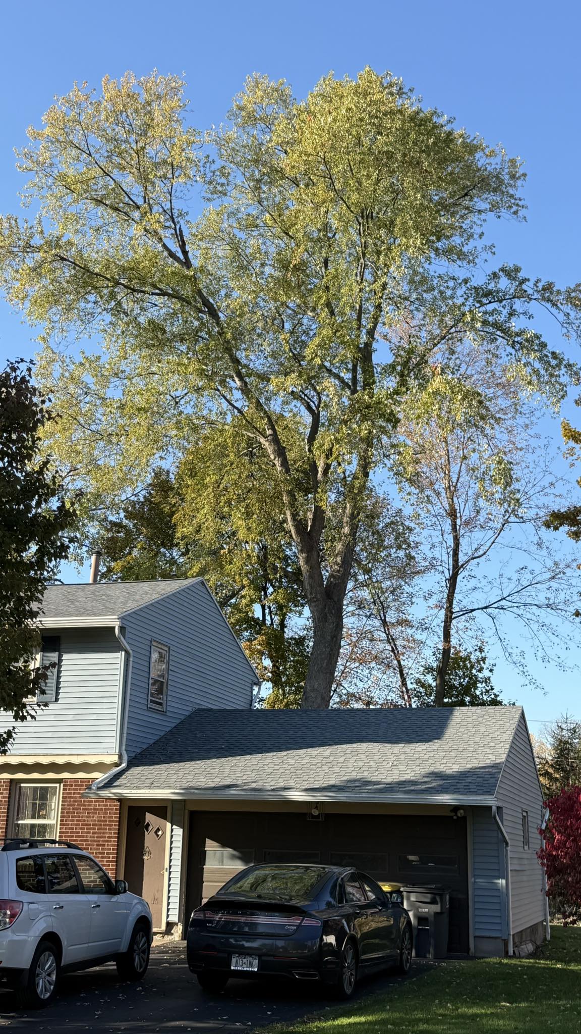  for Minnesota Seasonal in Corcoran, MN