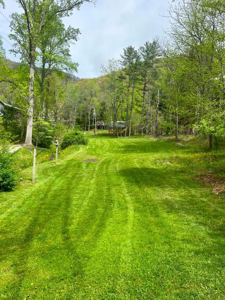  for John Lawns in Candler, NC