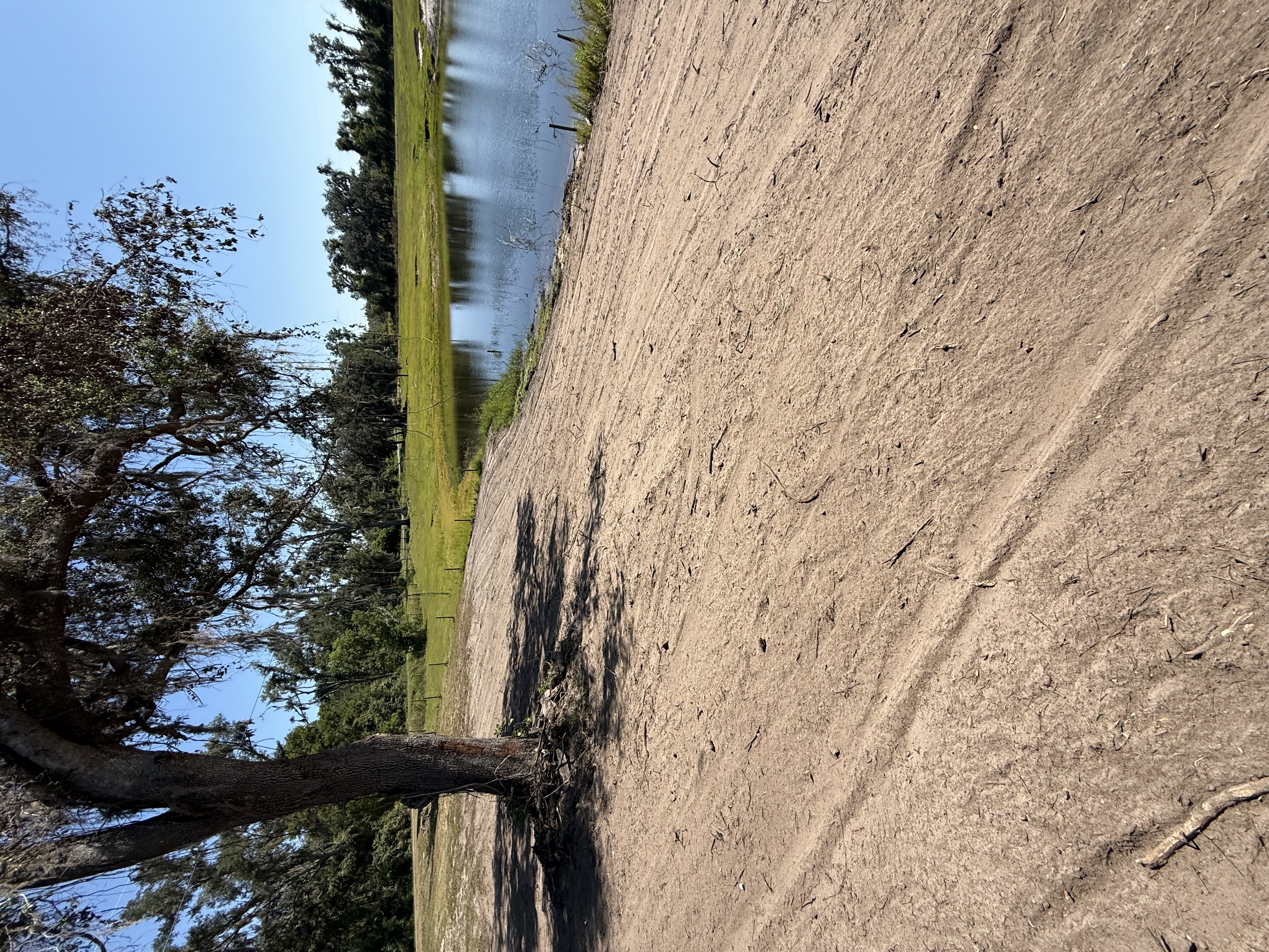  for Warners Tree Solutions in Live Oak, FL