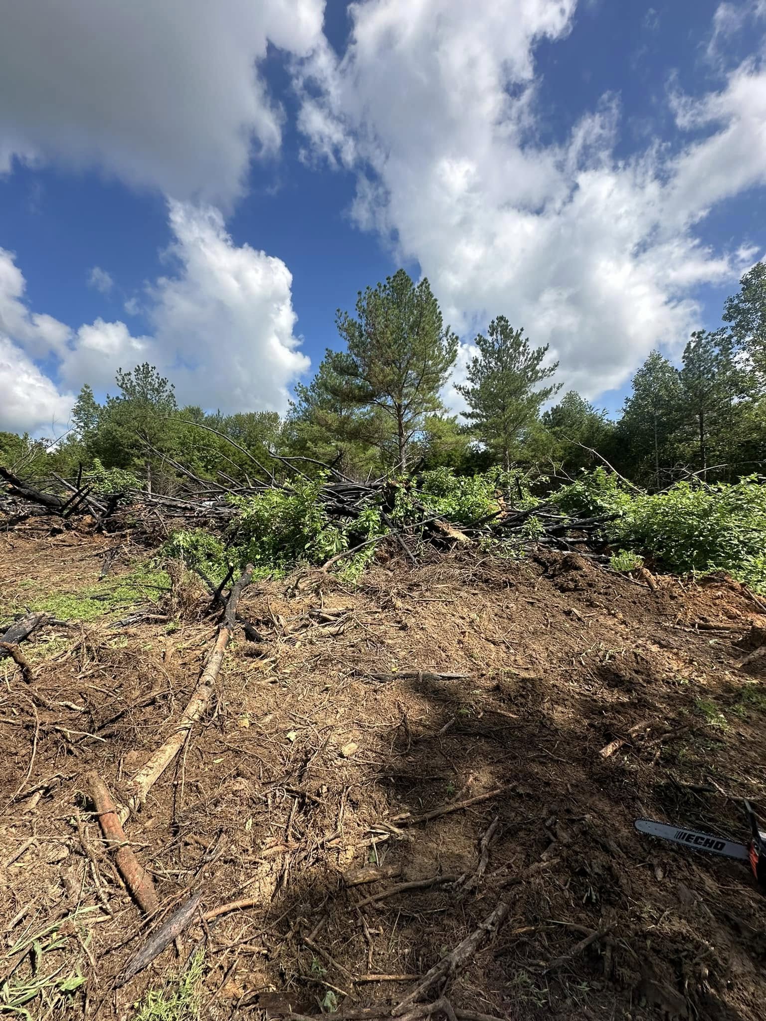  for Lanes Land Management in Fayetteville, TN