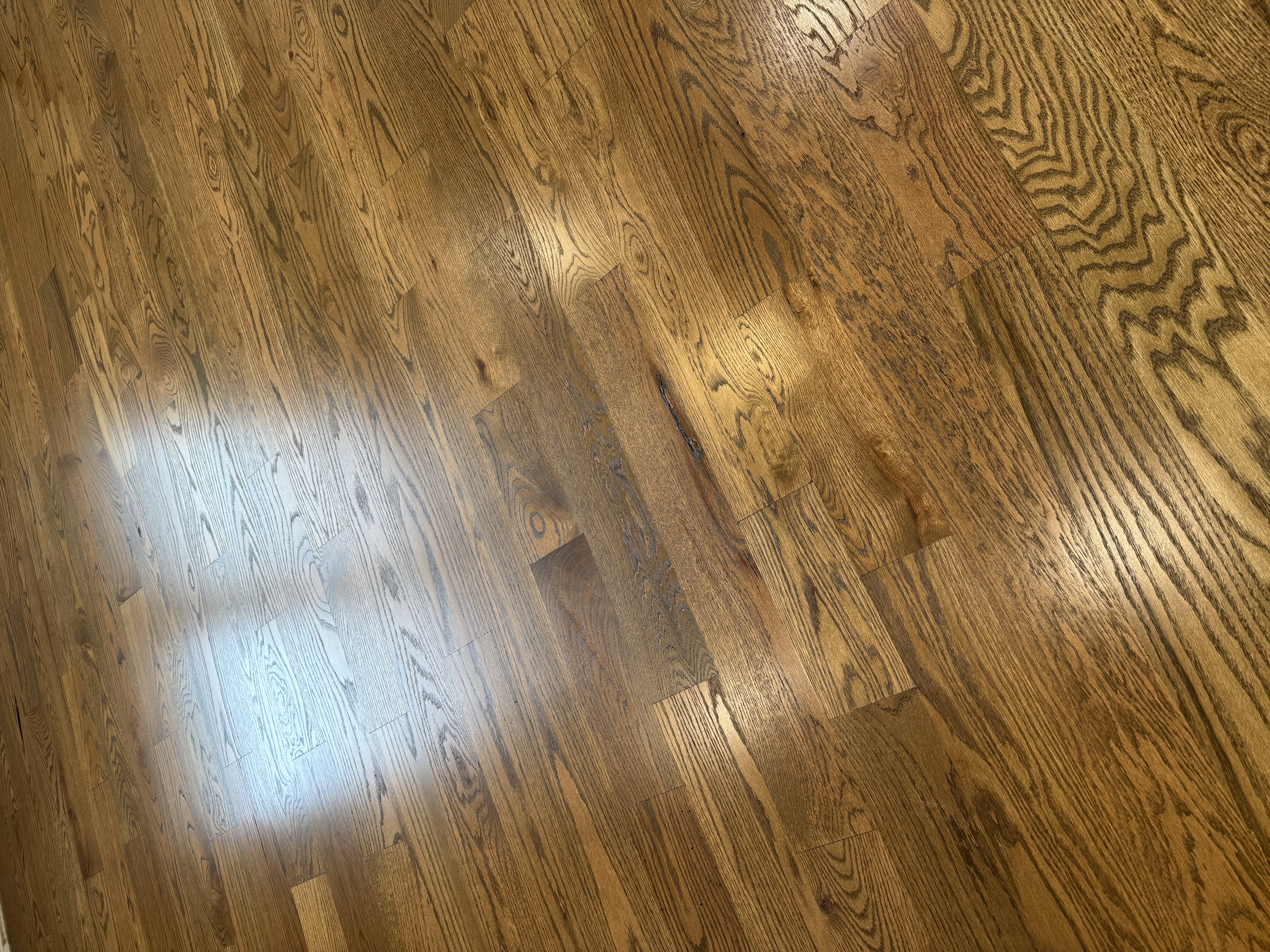  for Finely Finished LLC in Wyoming, DE