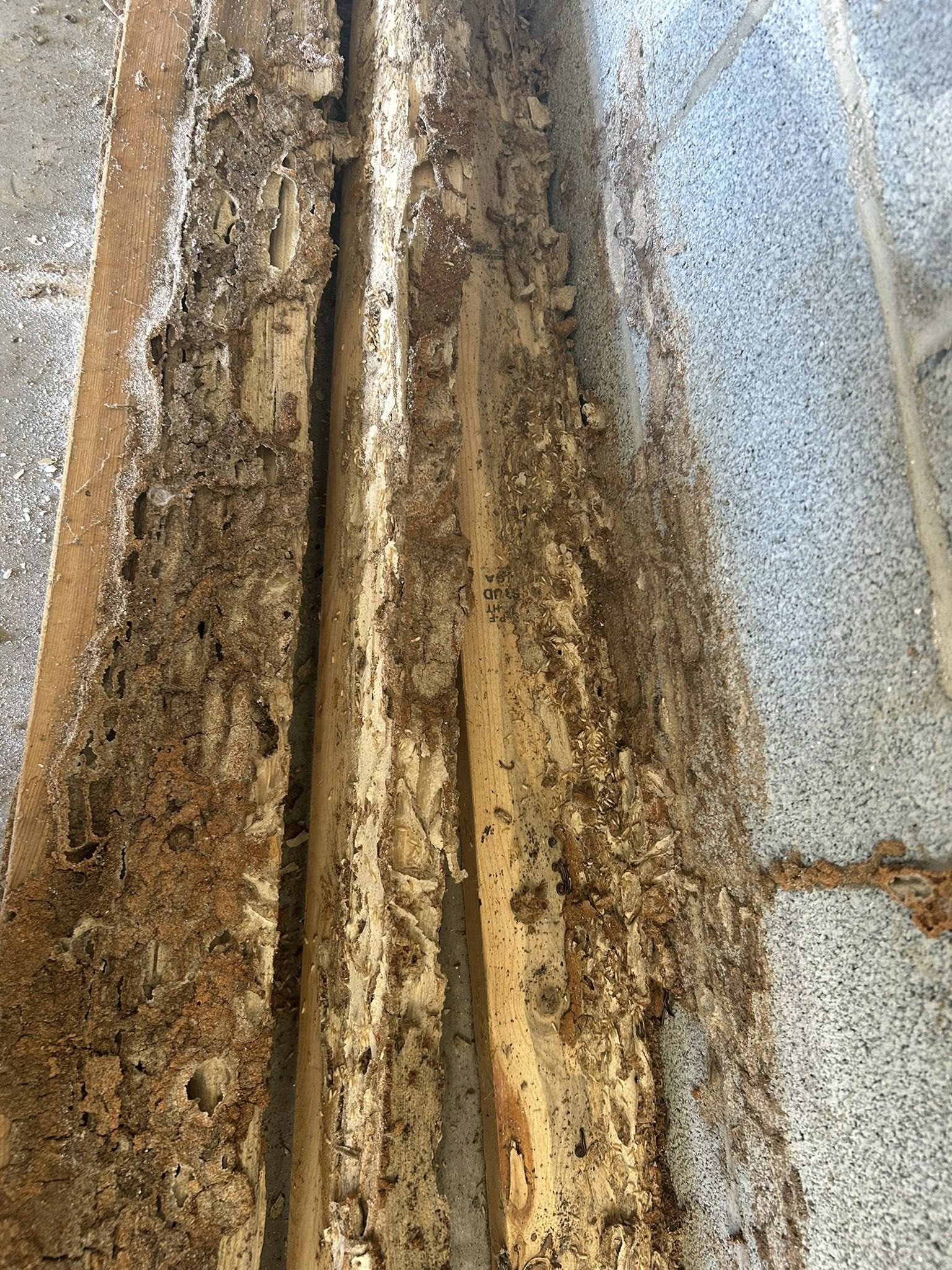  for Winecoff Pest Control in Salisbury, NC