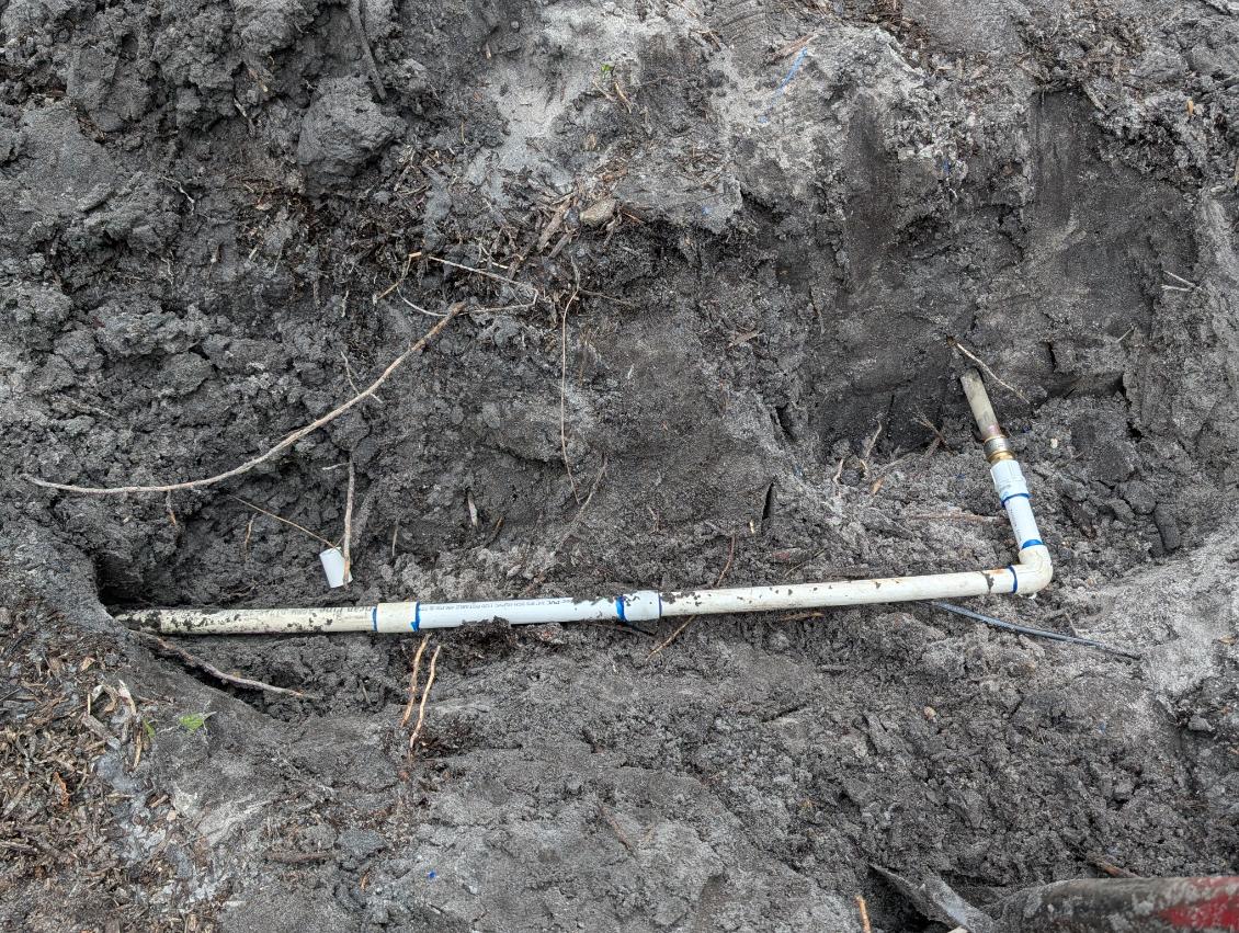  for Plant World LLC in Cape Coral, FL