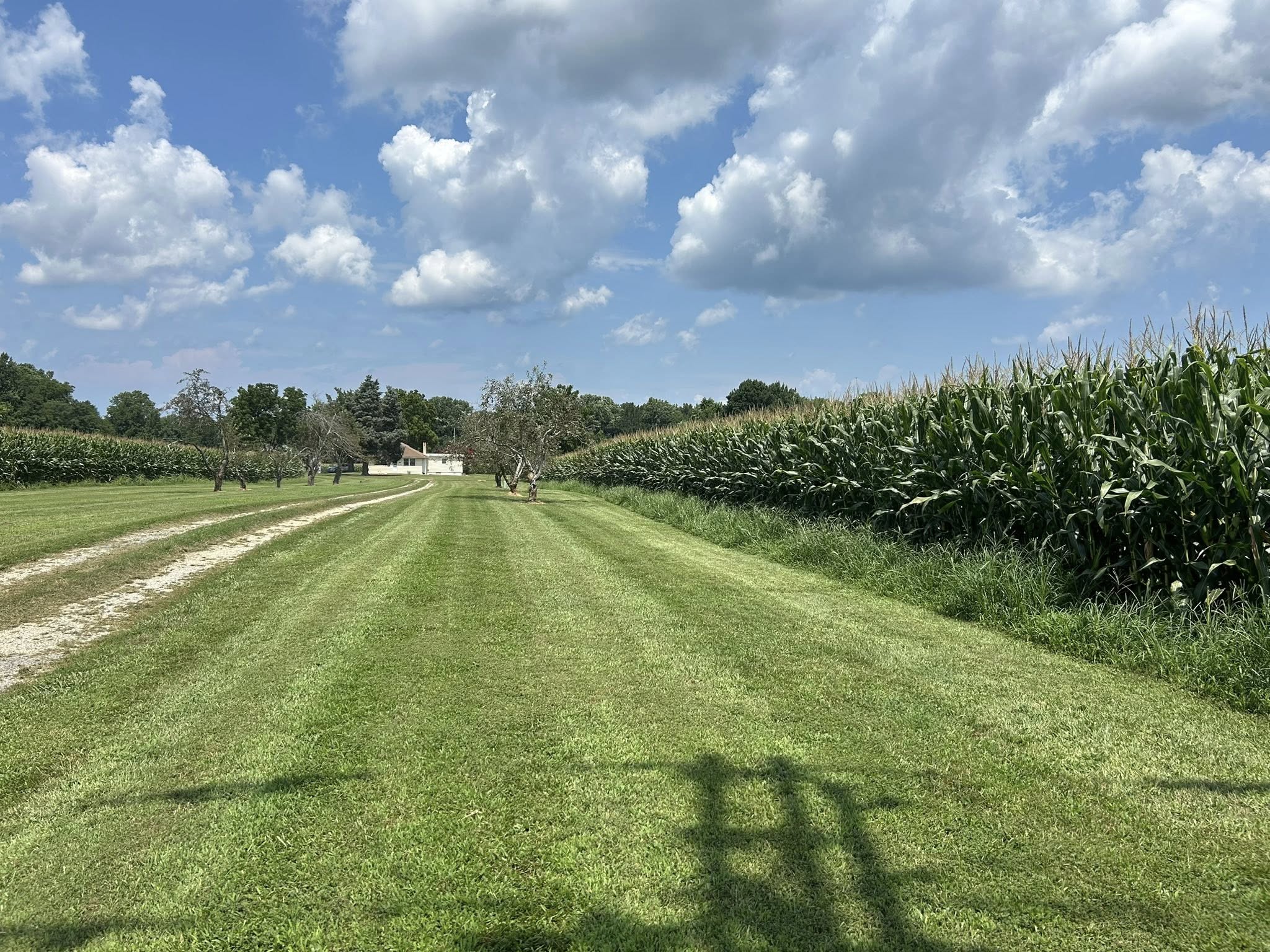 The Whole 9 Yards Landscape VA team in Heathsville, VA - people or person