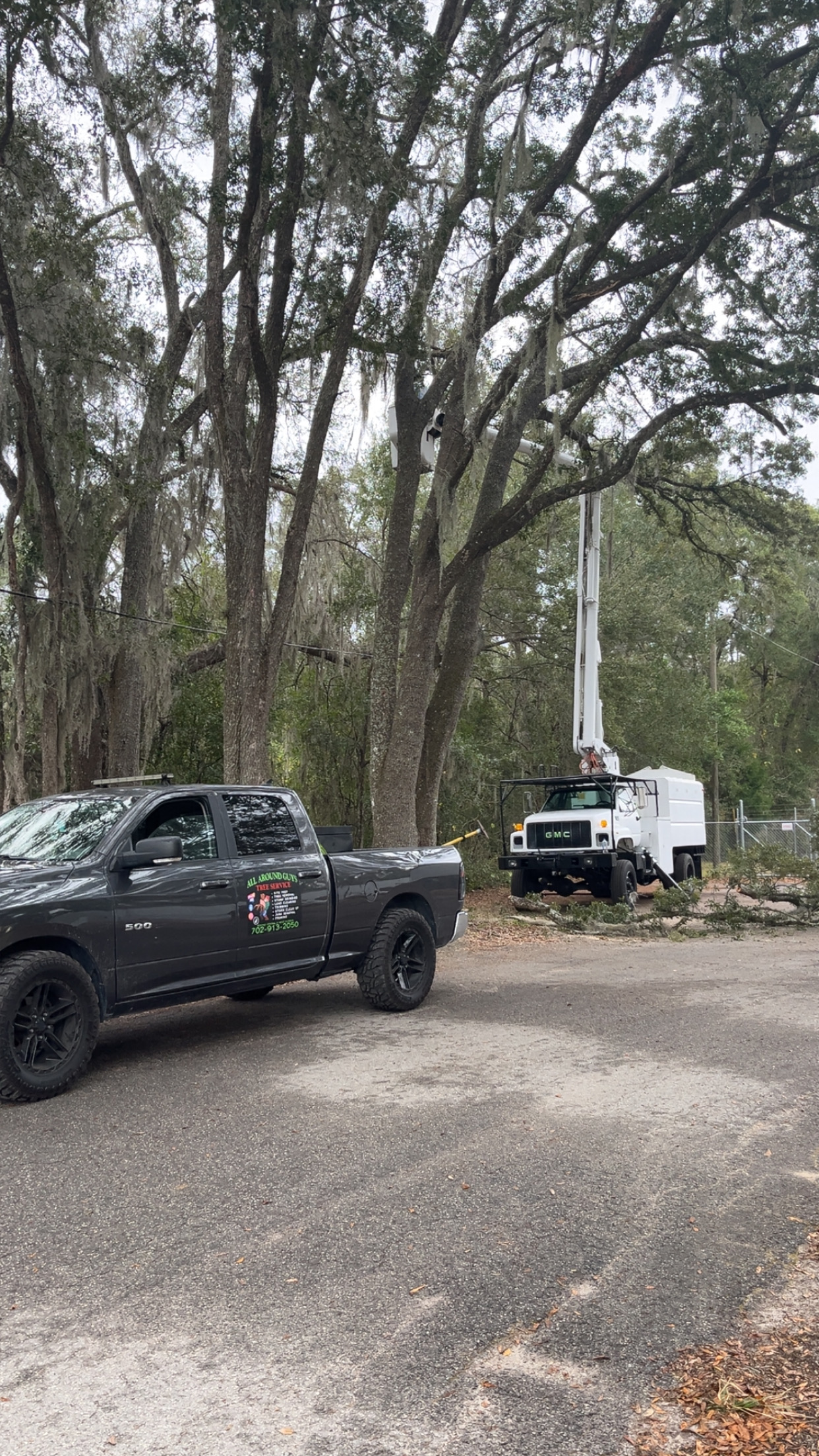  for All Around Guys Tree Service in Ocala, FL