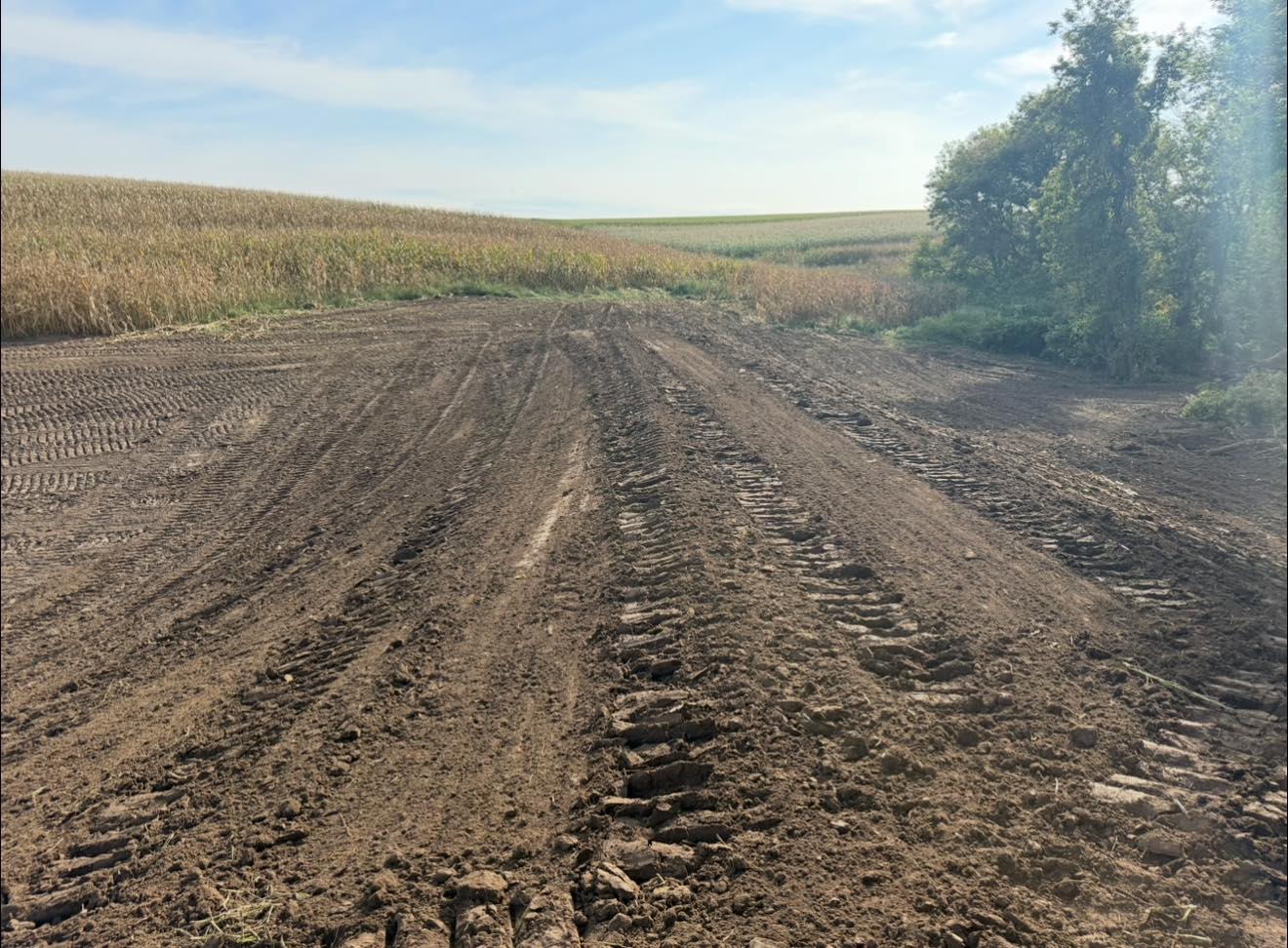 Excavating Company company Dittrich Excavating in Altura, MN