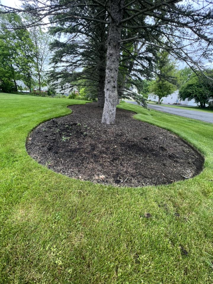  for HVQ Landscaping in Albany,  NY